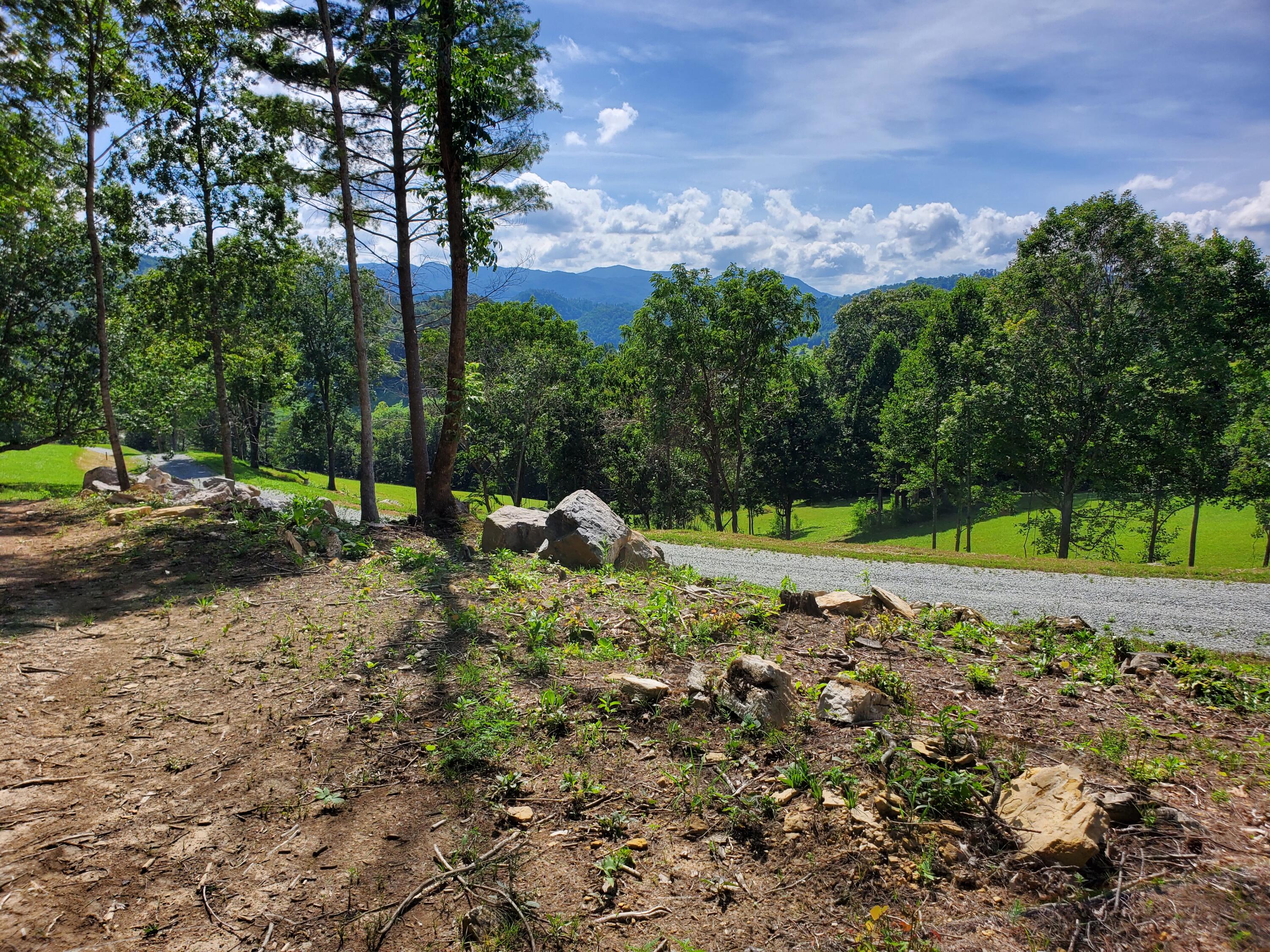 Lot 11 Draft Road, Butler, Tennessee image 1