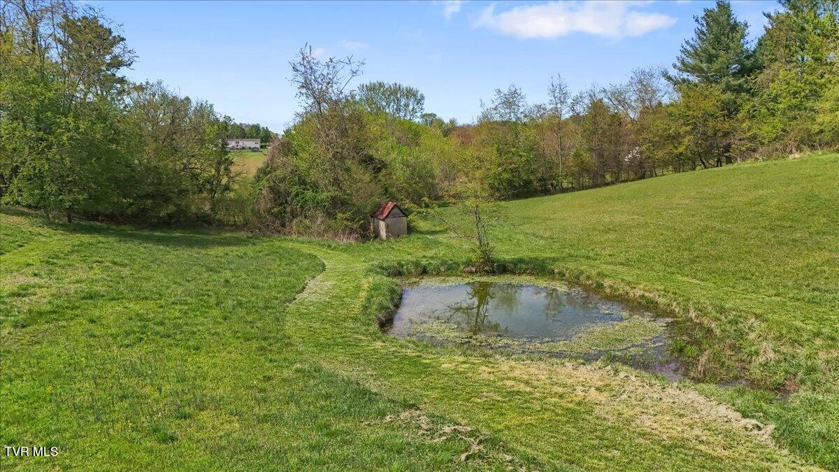 Piney Flats, Tennessee, 37686, United States, 3 Bedrooms Bedrooms, ,4 BathroomsBathrooms,Residential,Active,2034629