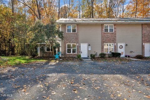 Photo of 125 Dean Archer Road #10, Jonesborough, TN 37659 (MLS # 9988134)