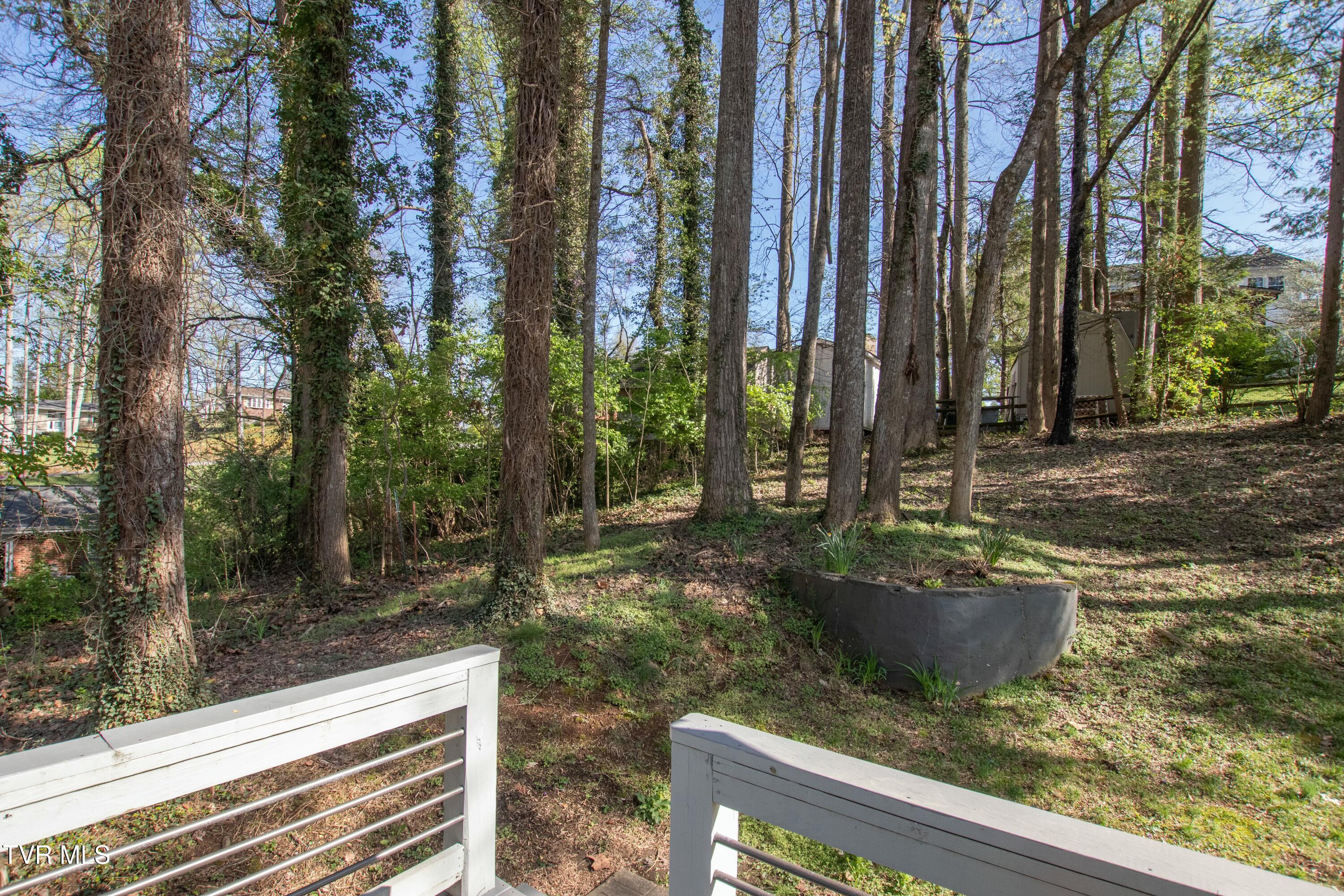 416 Mockingbird Road, Bristol, Tennessee image 34