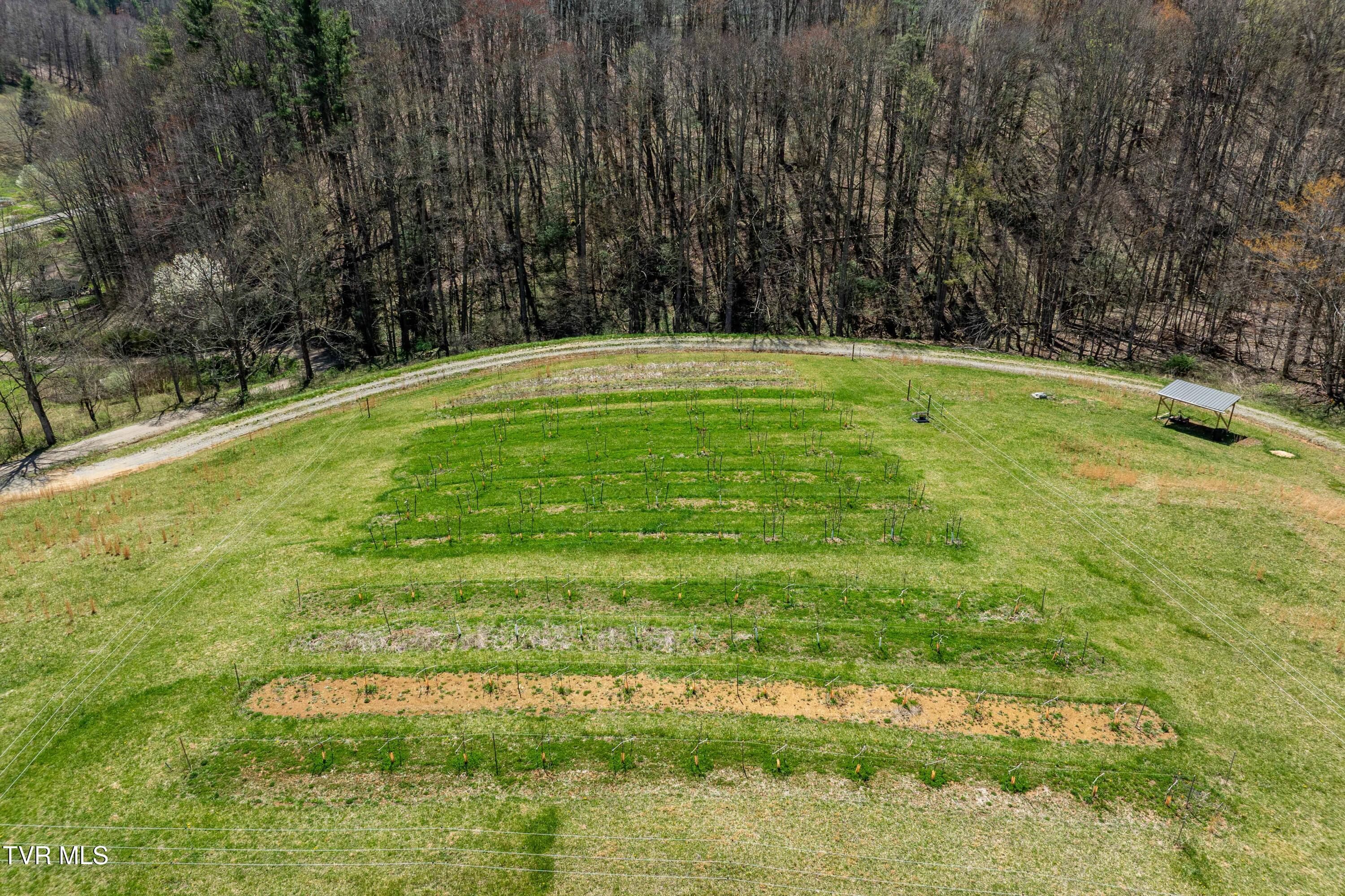 9676 Hwy 421 South, Trade, Tennessee image 45