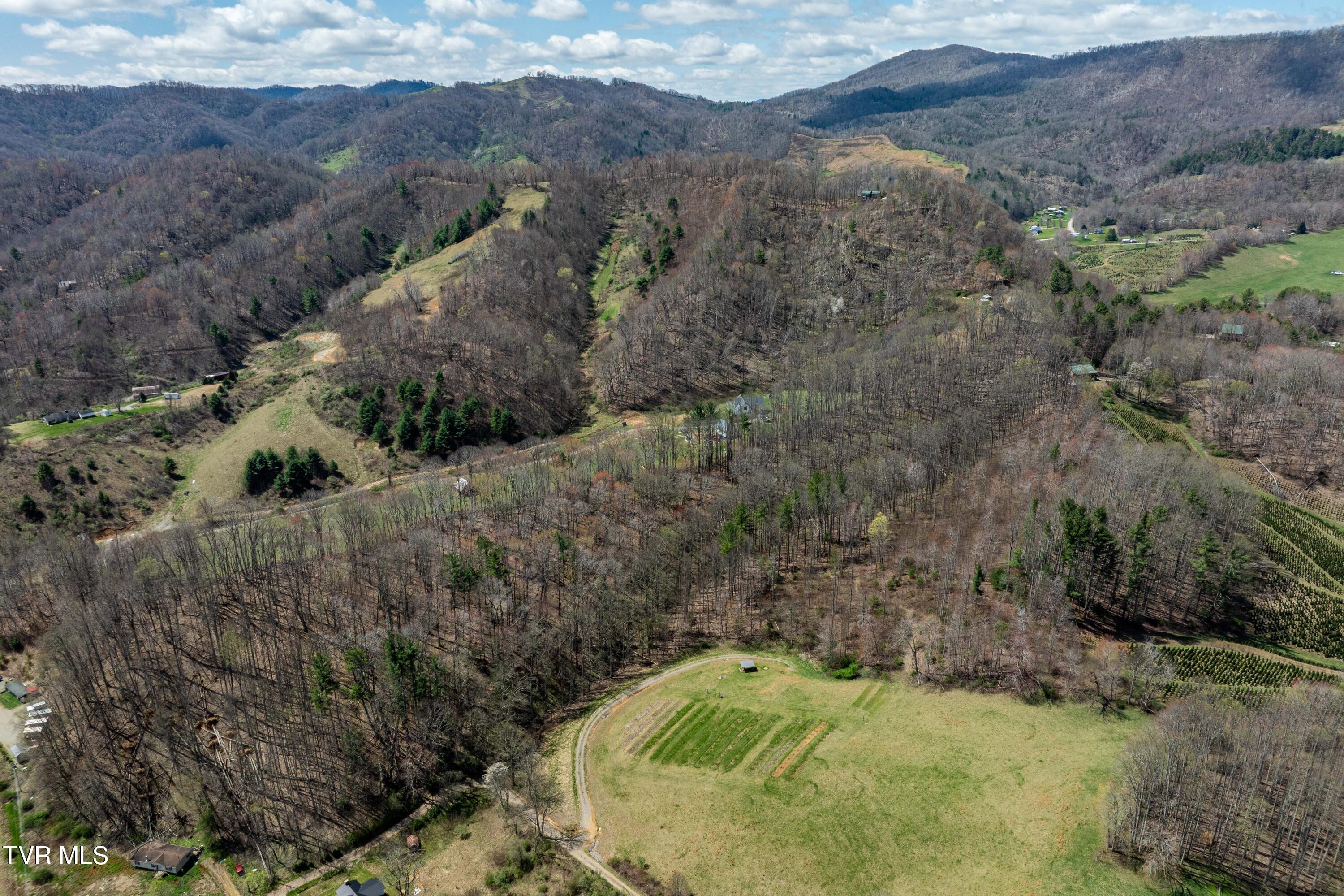 9676 Hwy 421 South, Trade, Tennessee image 16