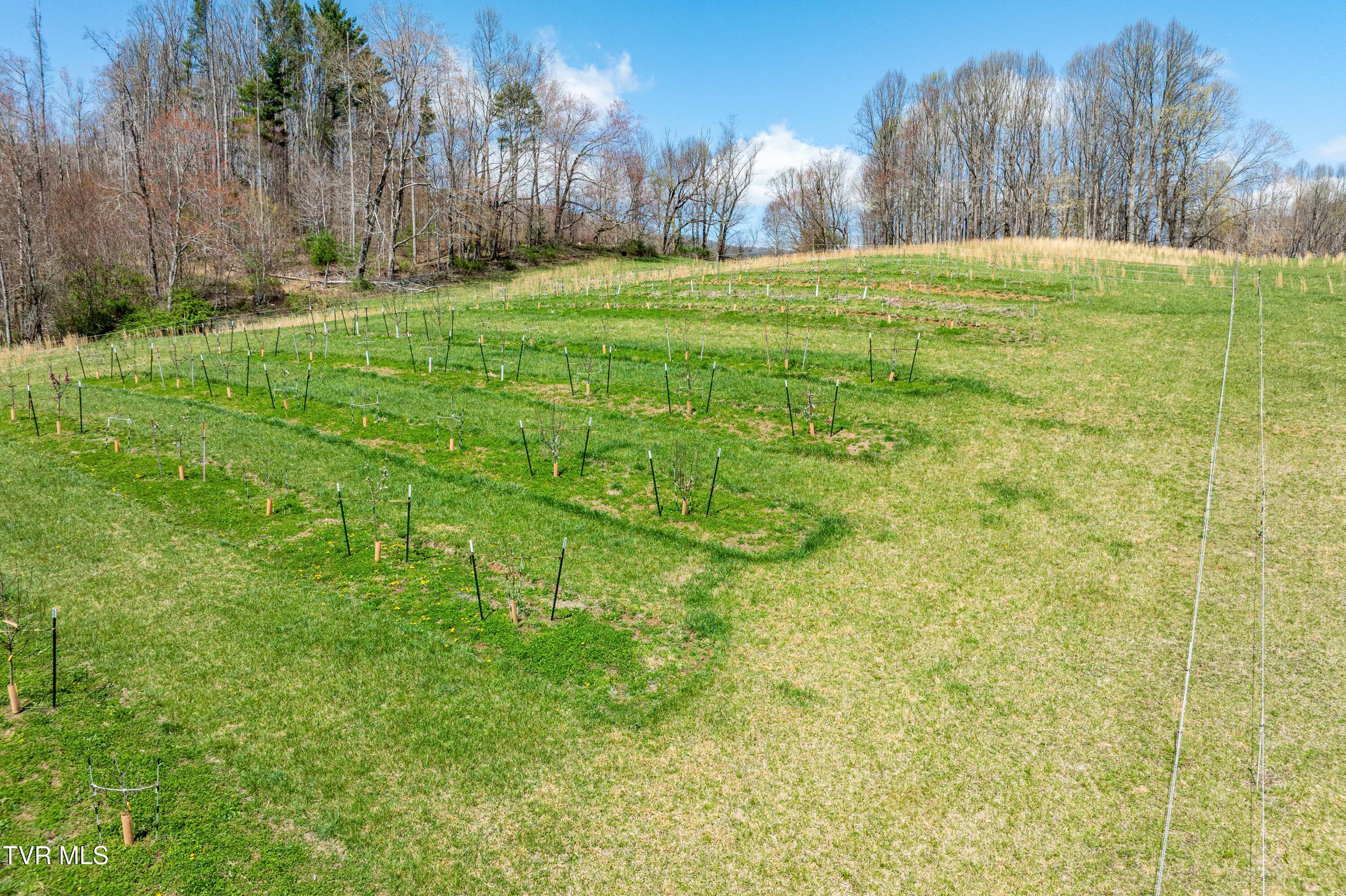 9676 Hwy 421 South, Trade, Tennessee image 18
