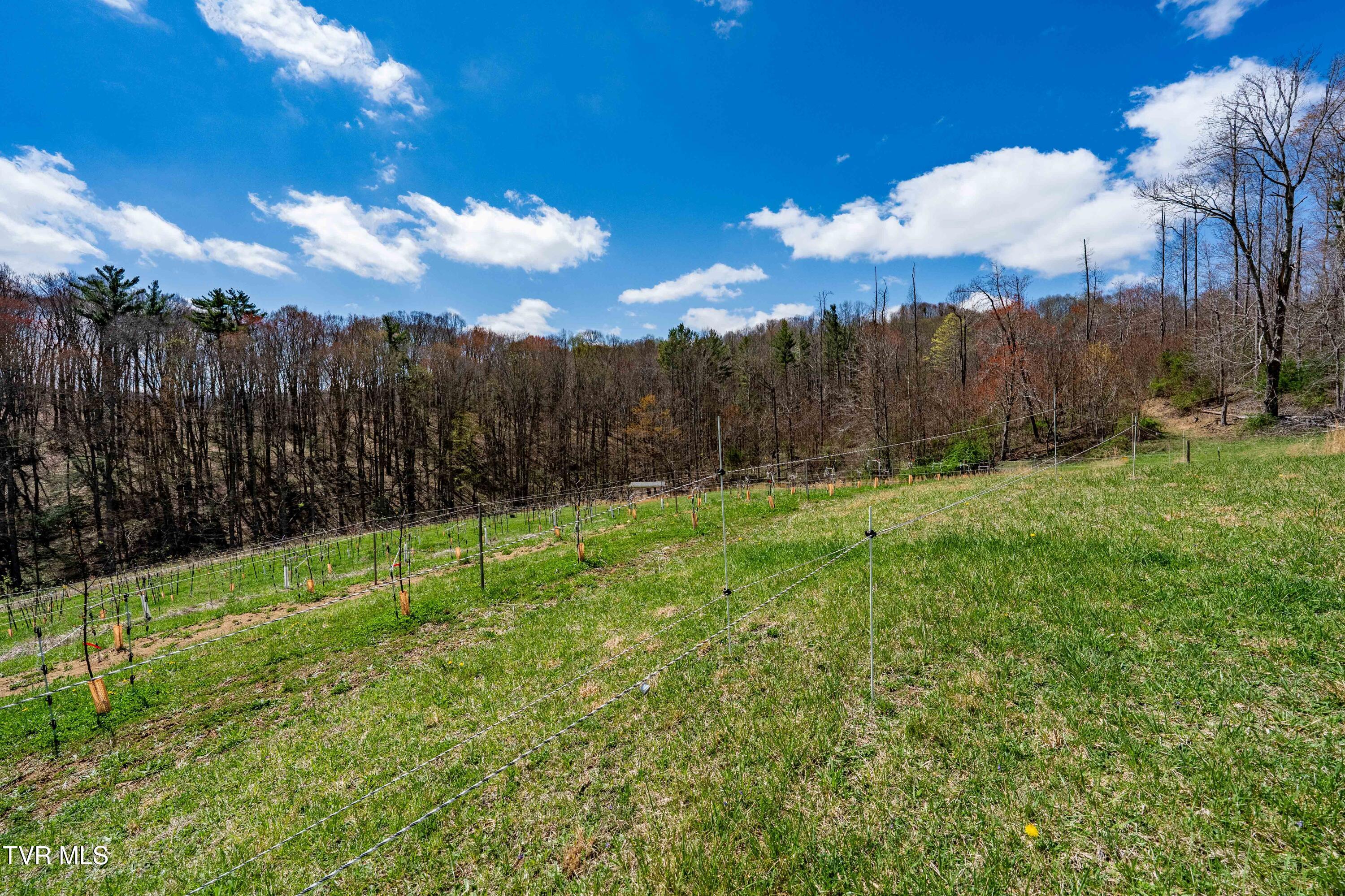 9676 Hwy 421 South, Trade, Tennessee image 48