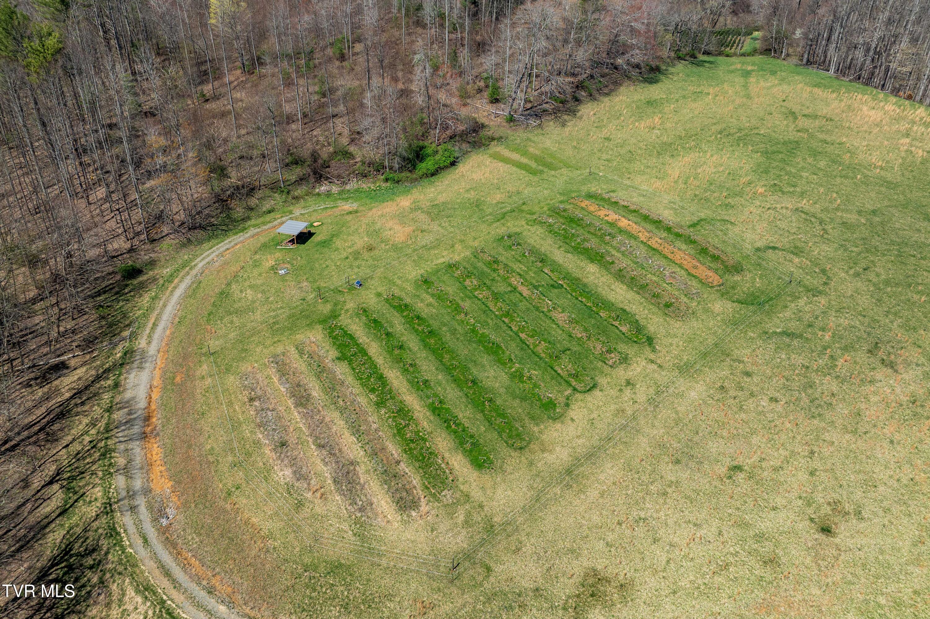 9676 Hwy 421 South, Trade, Tennessee image 34