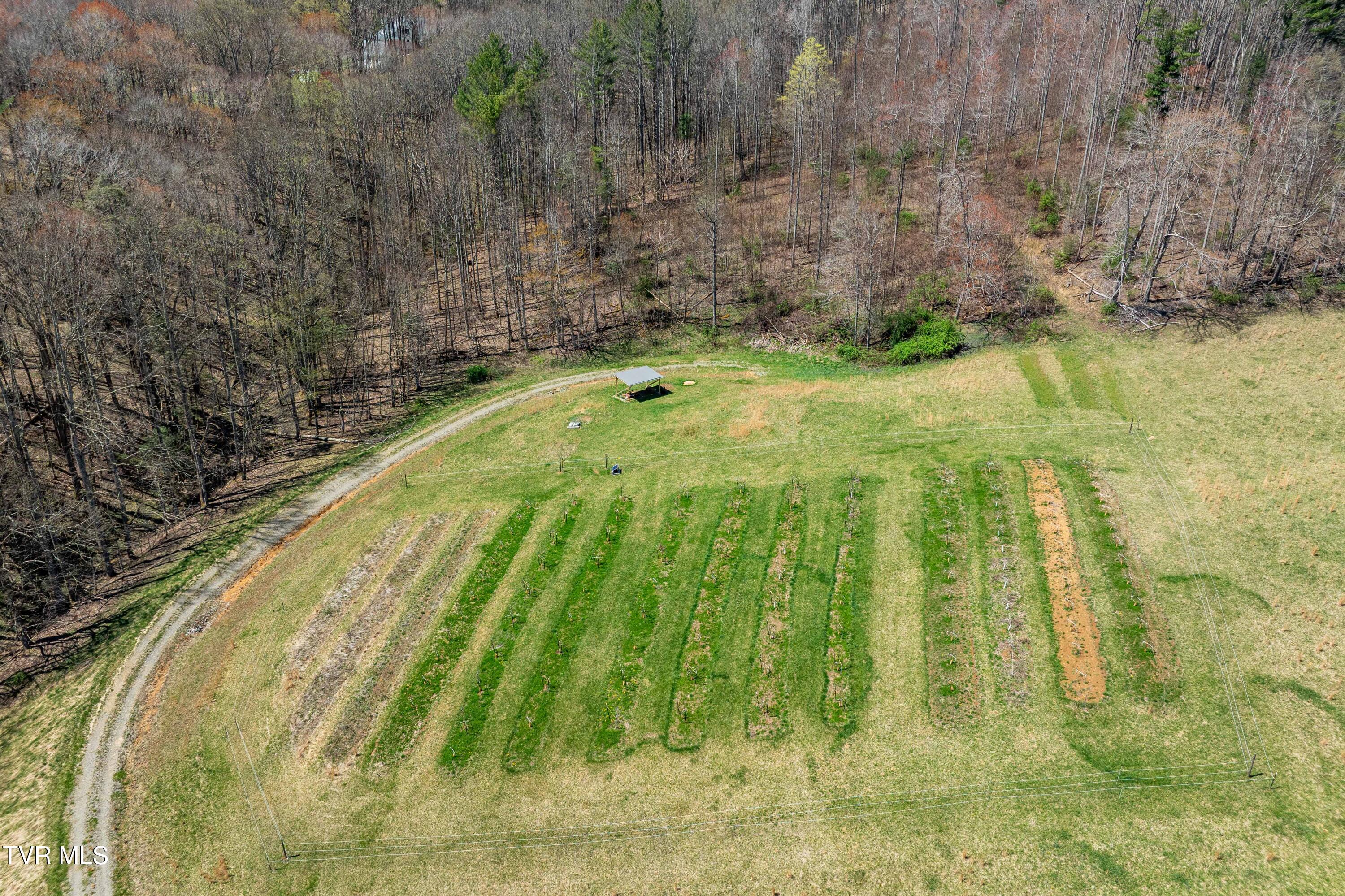 9676 Hwy 421 South, Trade, Tennessee image 6