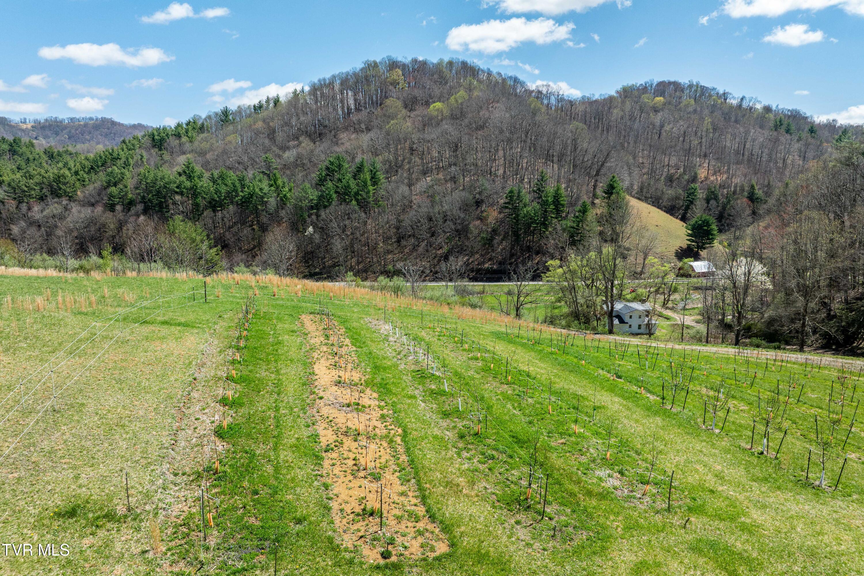 9676 Hwy 421 South, Trade, Tennessee image 40