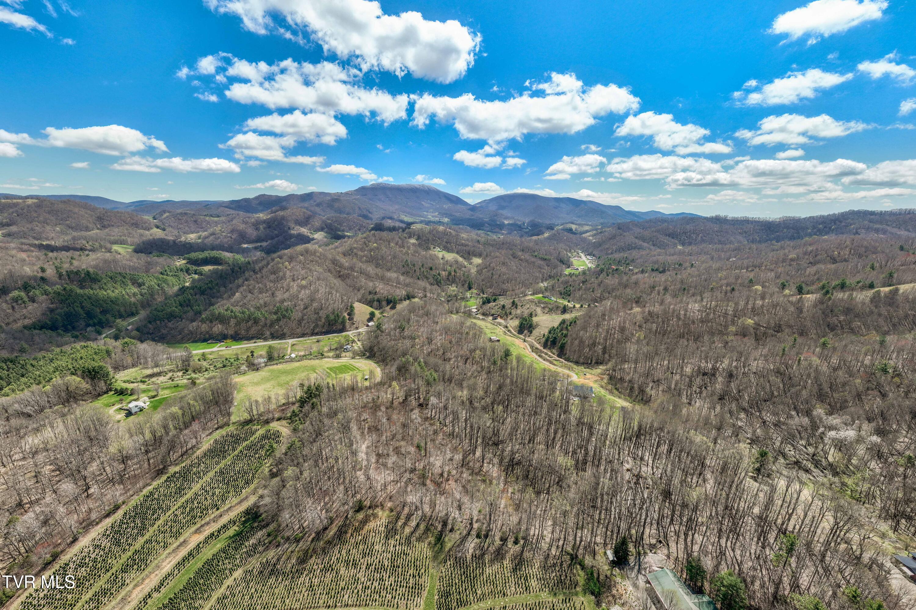 9676 Hwy 421 South, Trade, Tennessee image 8