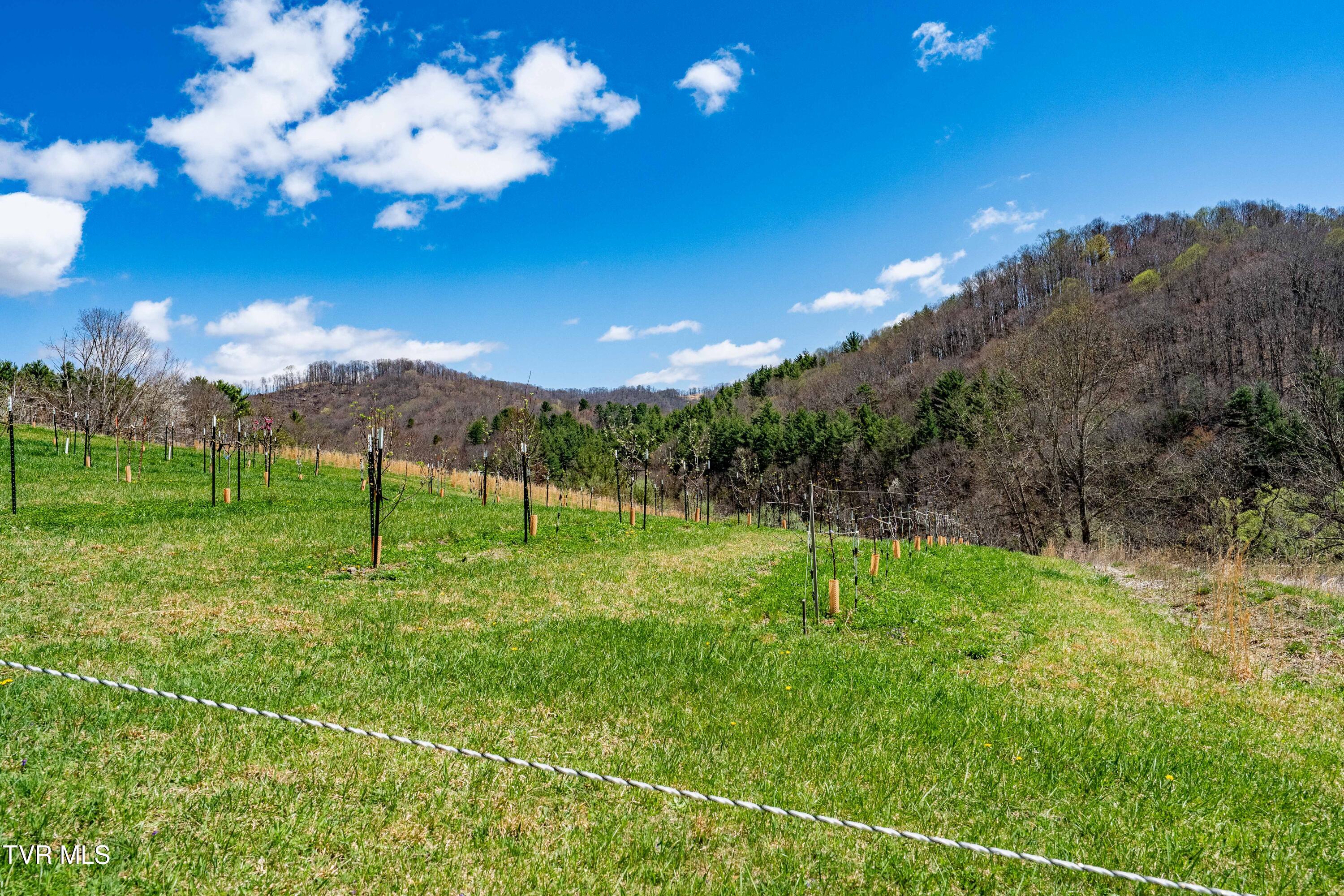 9676 Hwy 421 South, Trade, Tennessee image 3