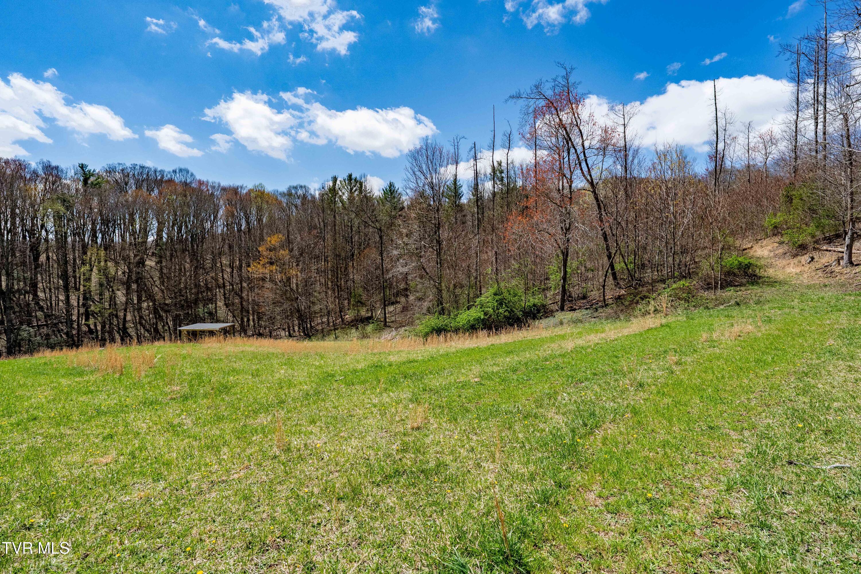 9676 Hwy 421 South, Trade, Tennessee image 46