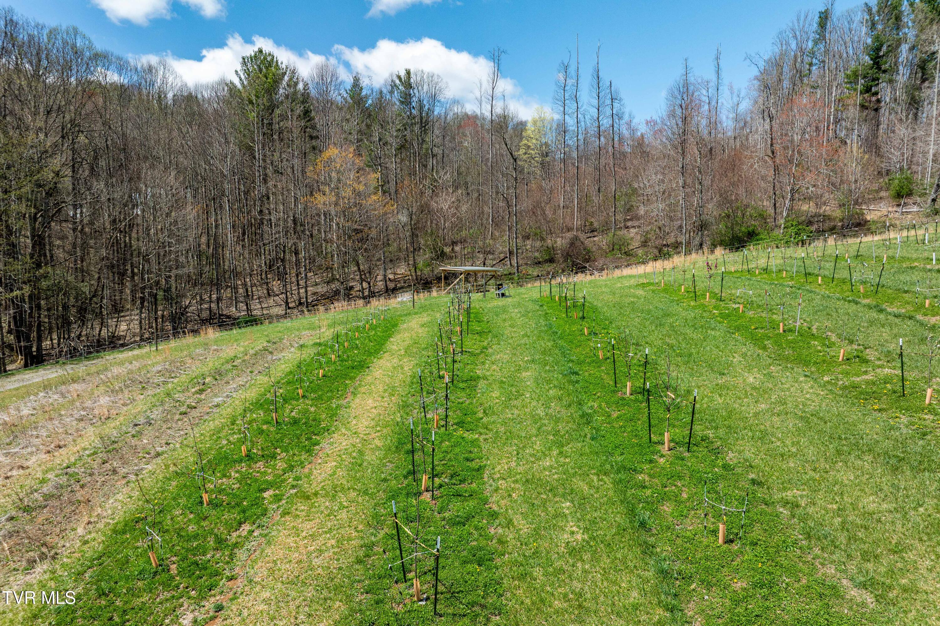 9676 Hwy 421 South, Trade, Tennessee image 44