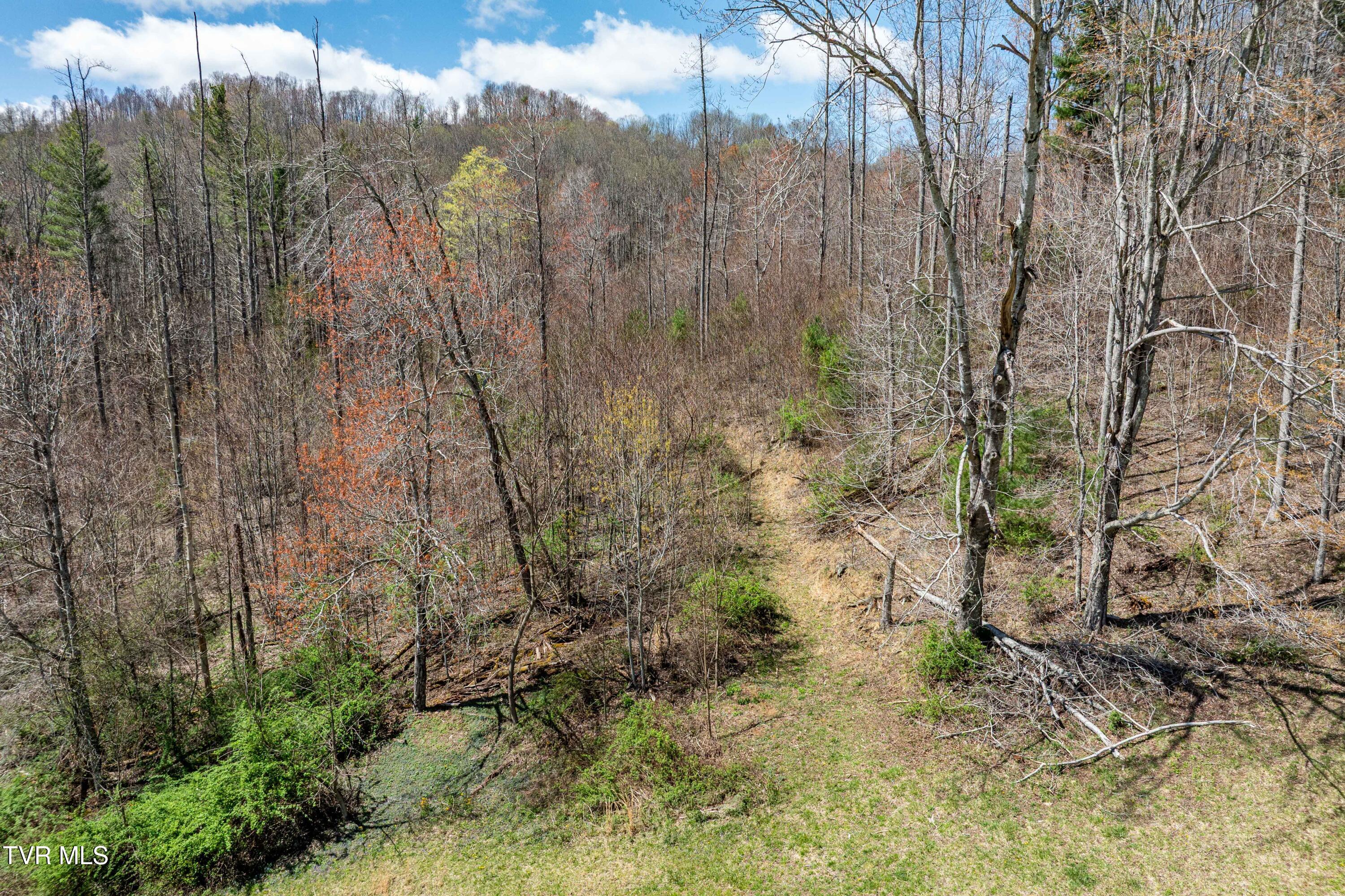 9676 Hwy 421 South, Trade, Tennessee image 39