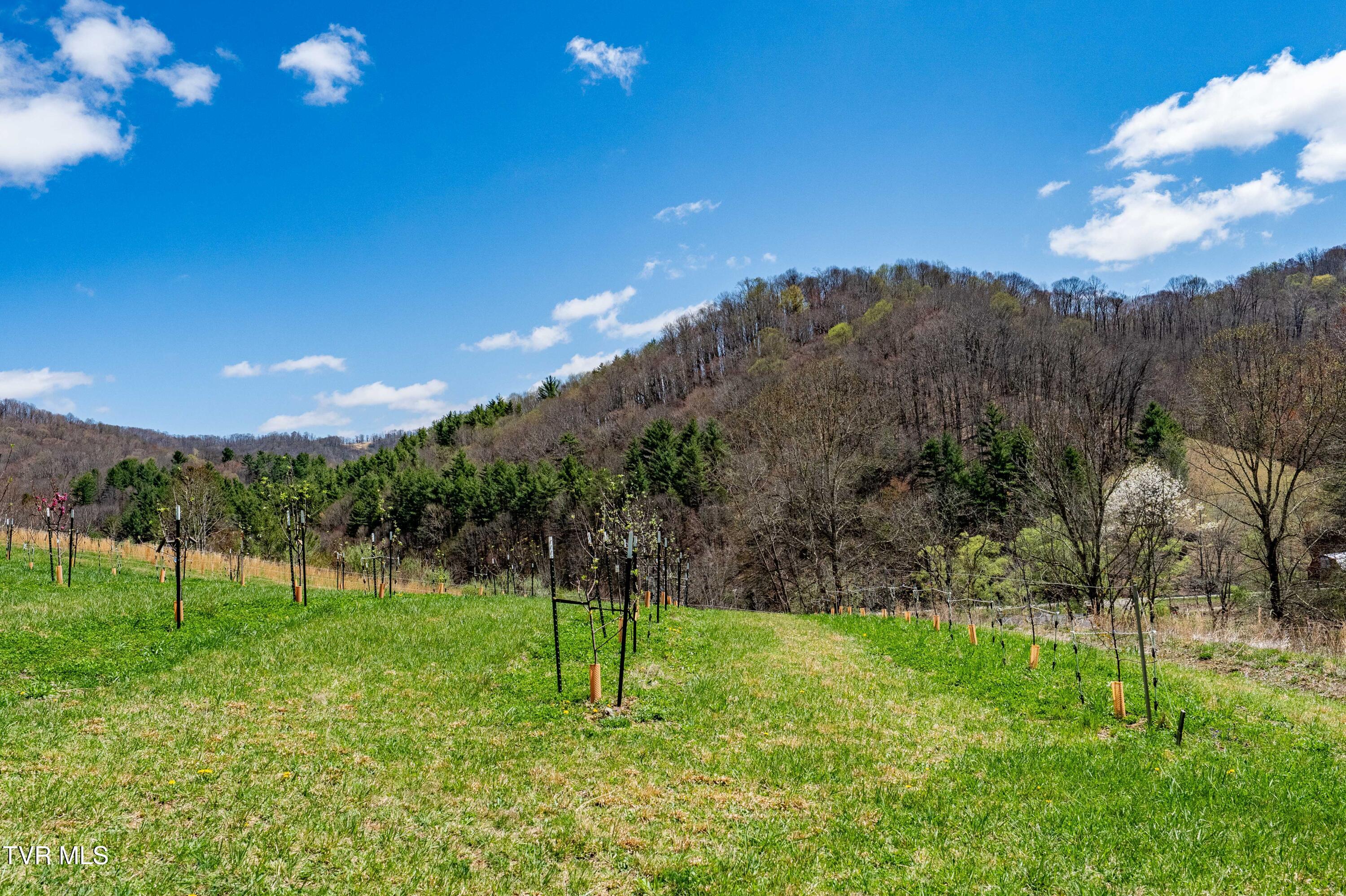 9676 Hwy 421 South, Trade, Tennessee image 47