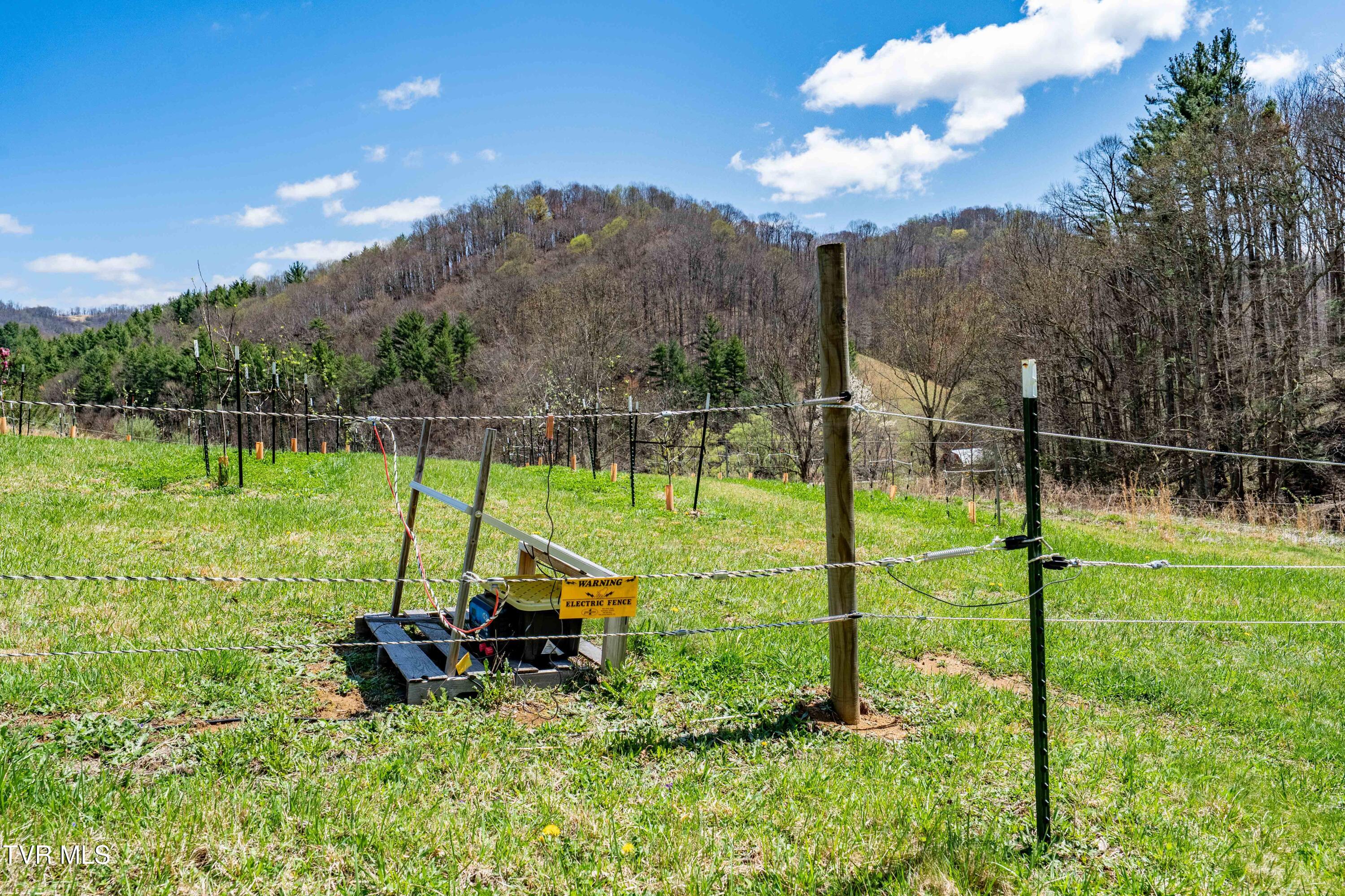 9676 Hwy 421 South, Trade, Tennessee image 2