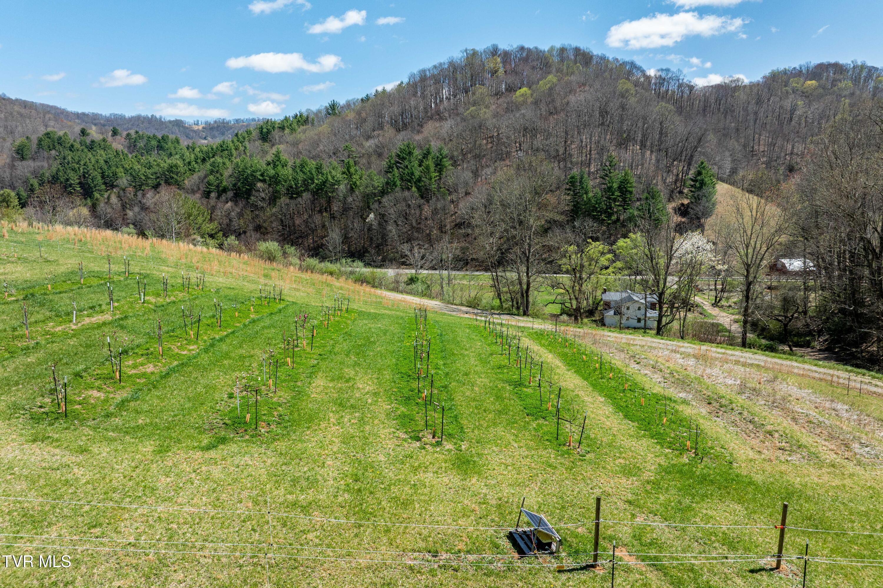 9676 Hwy 421 South, Trade, Tennessee image 4