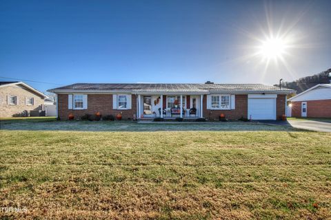 Photo of 153 Southgate Drive, Elizabethton, TN 37643 (MLS # 9988272)