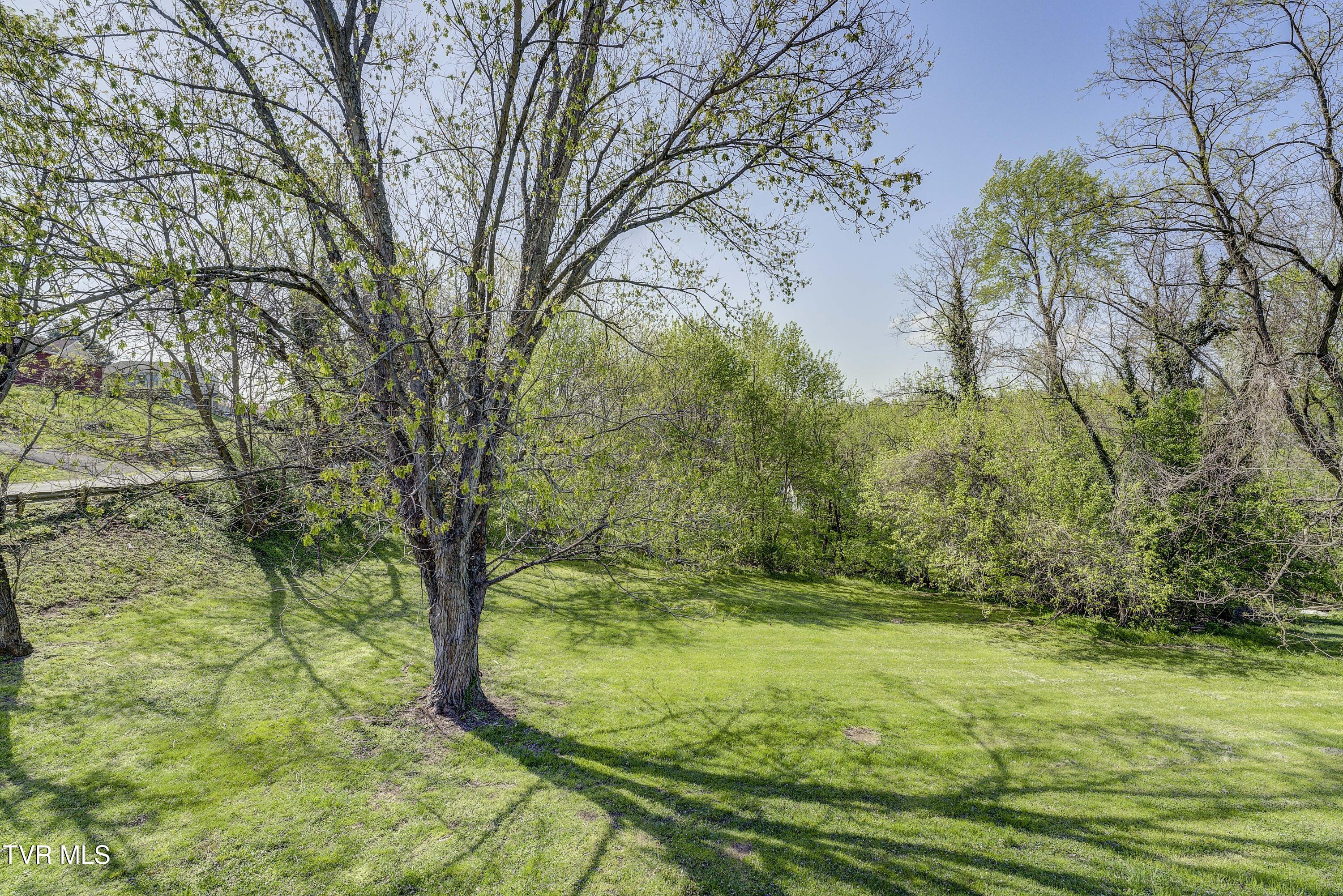 201 Ruth Street, Bristol, Tennessee image 28