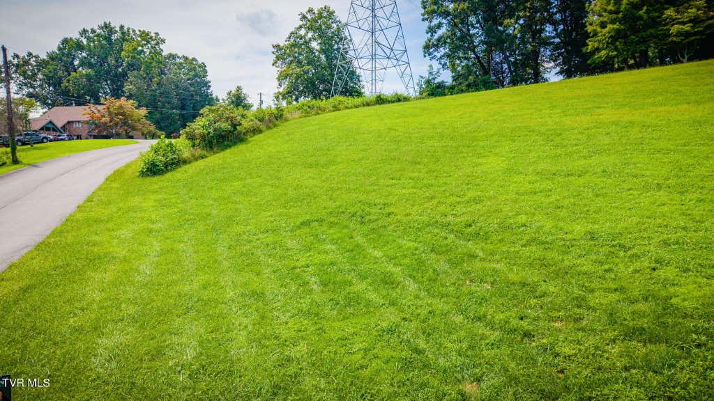 Photo of Tbd Country Drive #Tbd, Kingsport, TN 37664 (MLS # 9999798)