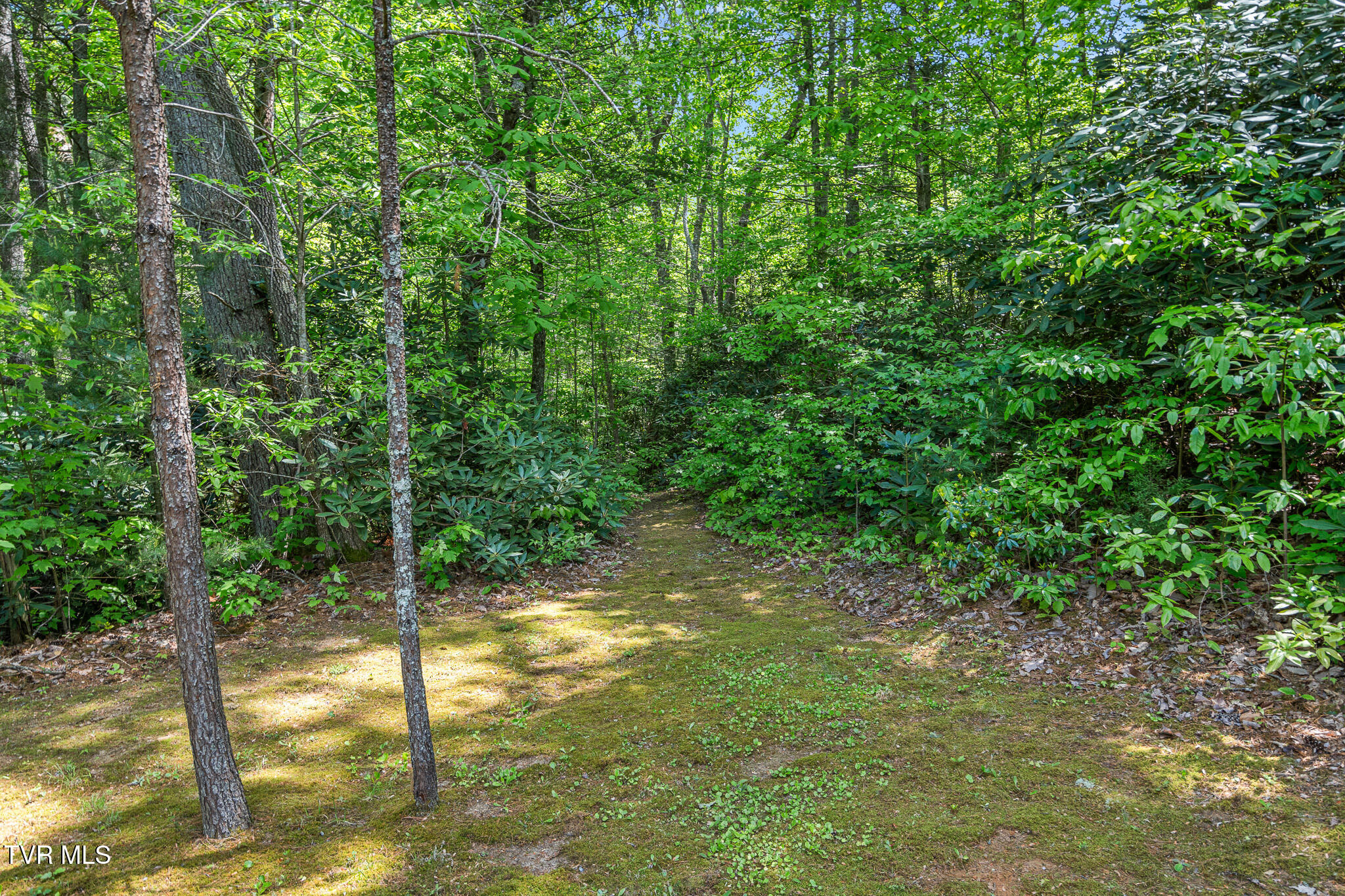 405 Morgan Branch Lane, Chuckey, Tennessee image 34