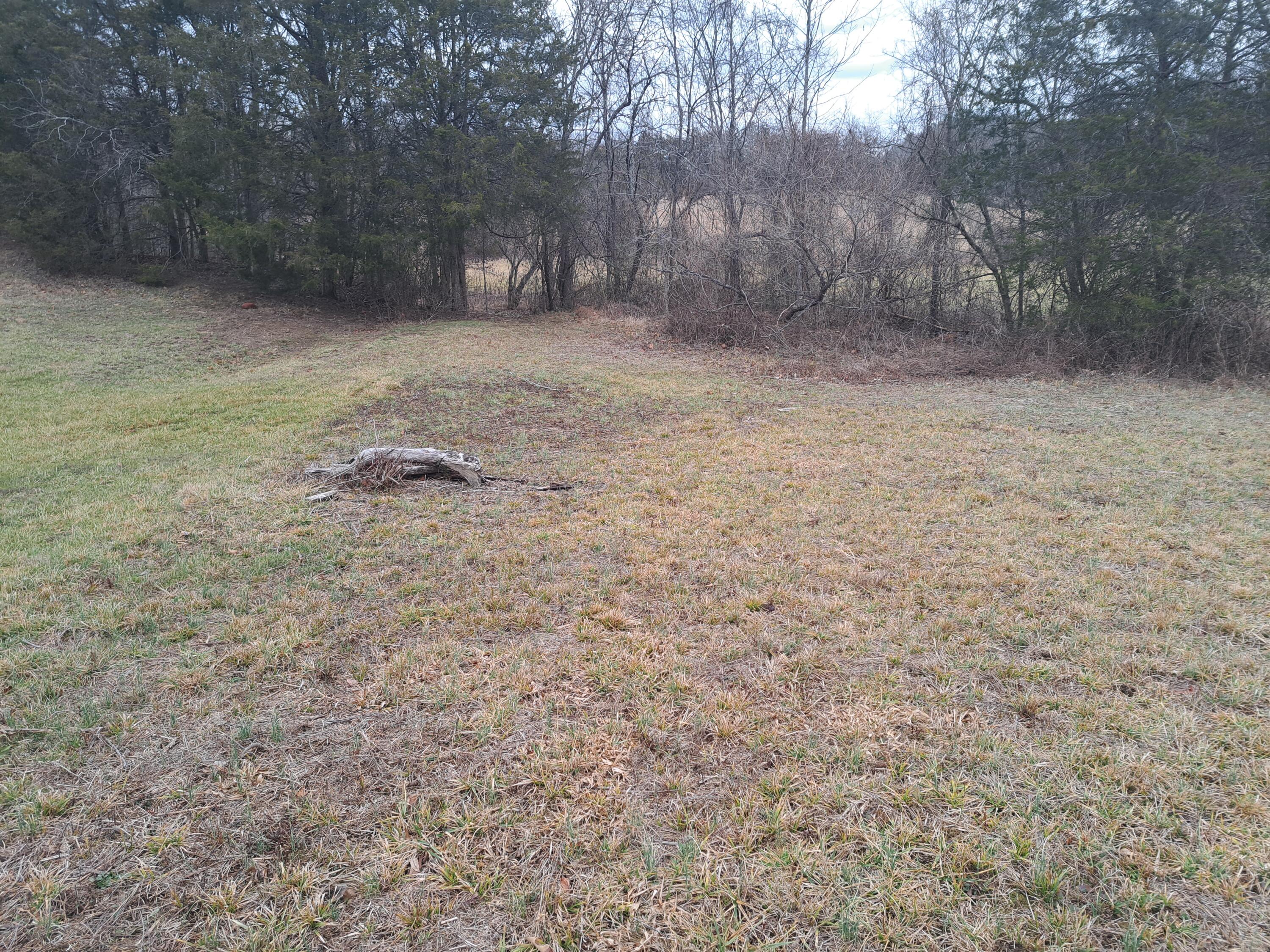 Tbd Old Baileyton Road, Greeneville, Tennessee image 2
