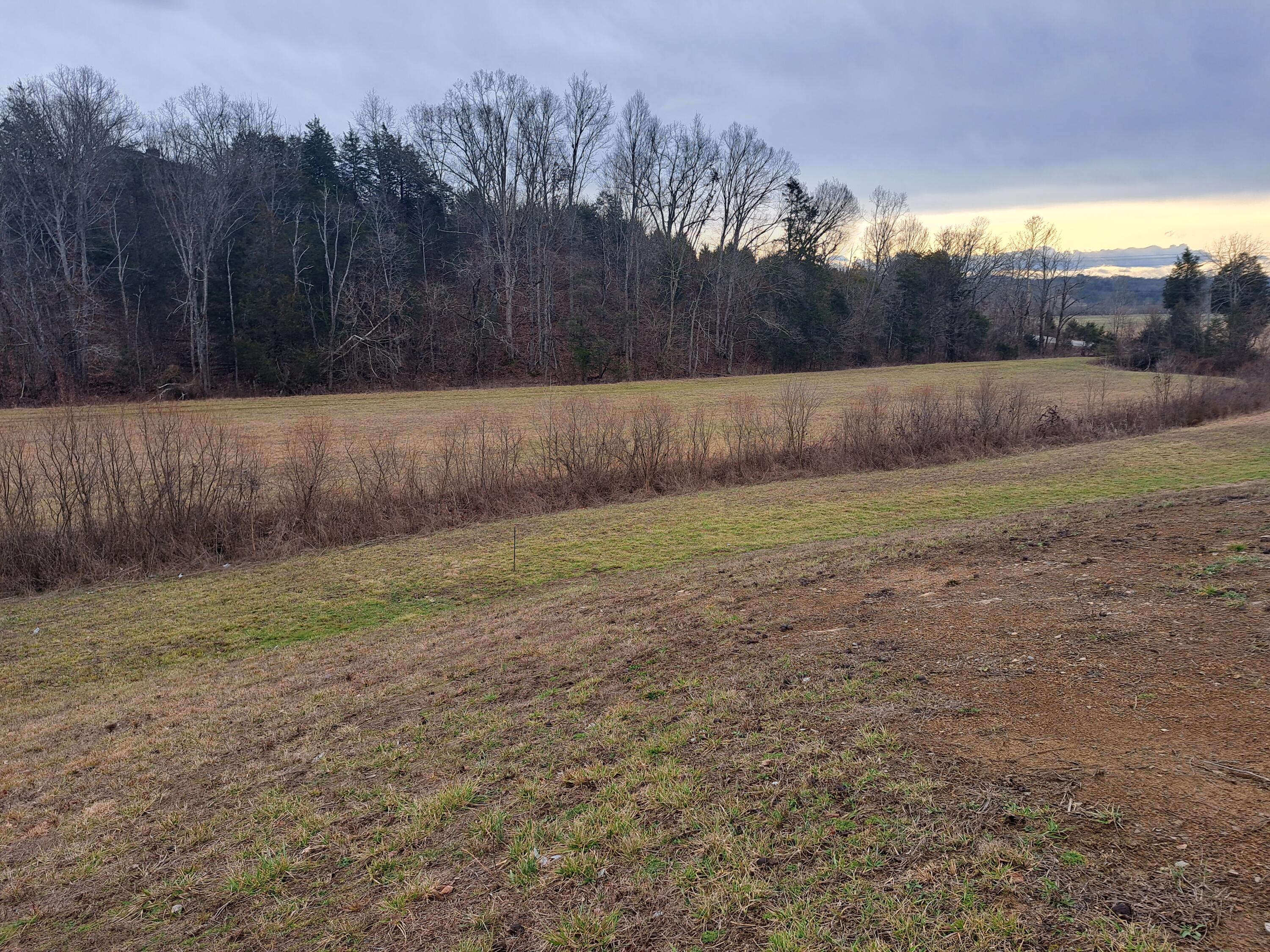Tbd Old Baileyton Road, Greeneville, Tennessee image 7