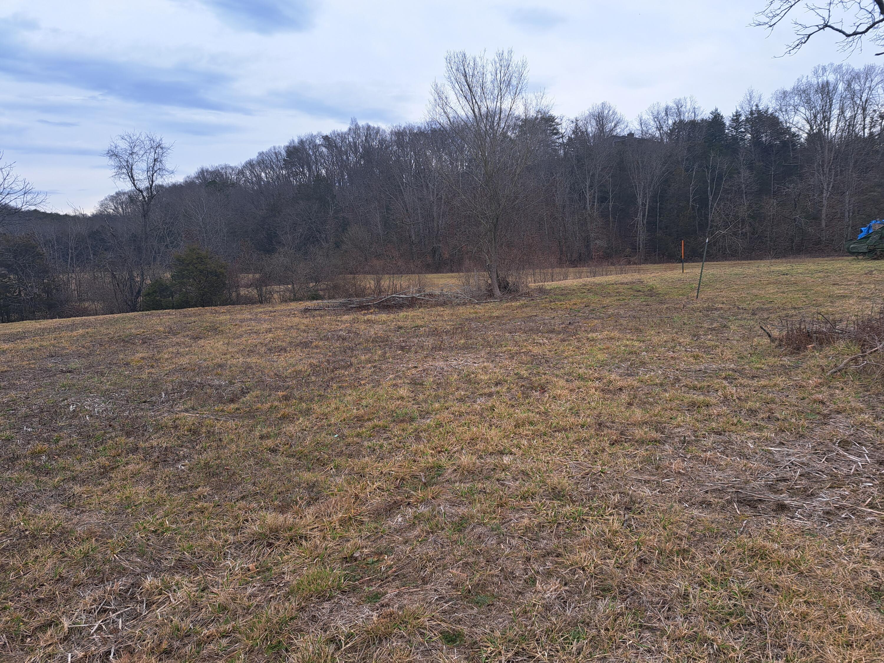 Tbd Old Baileyton Road, Greeneville, Tennessee image 10