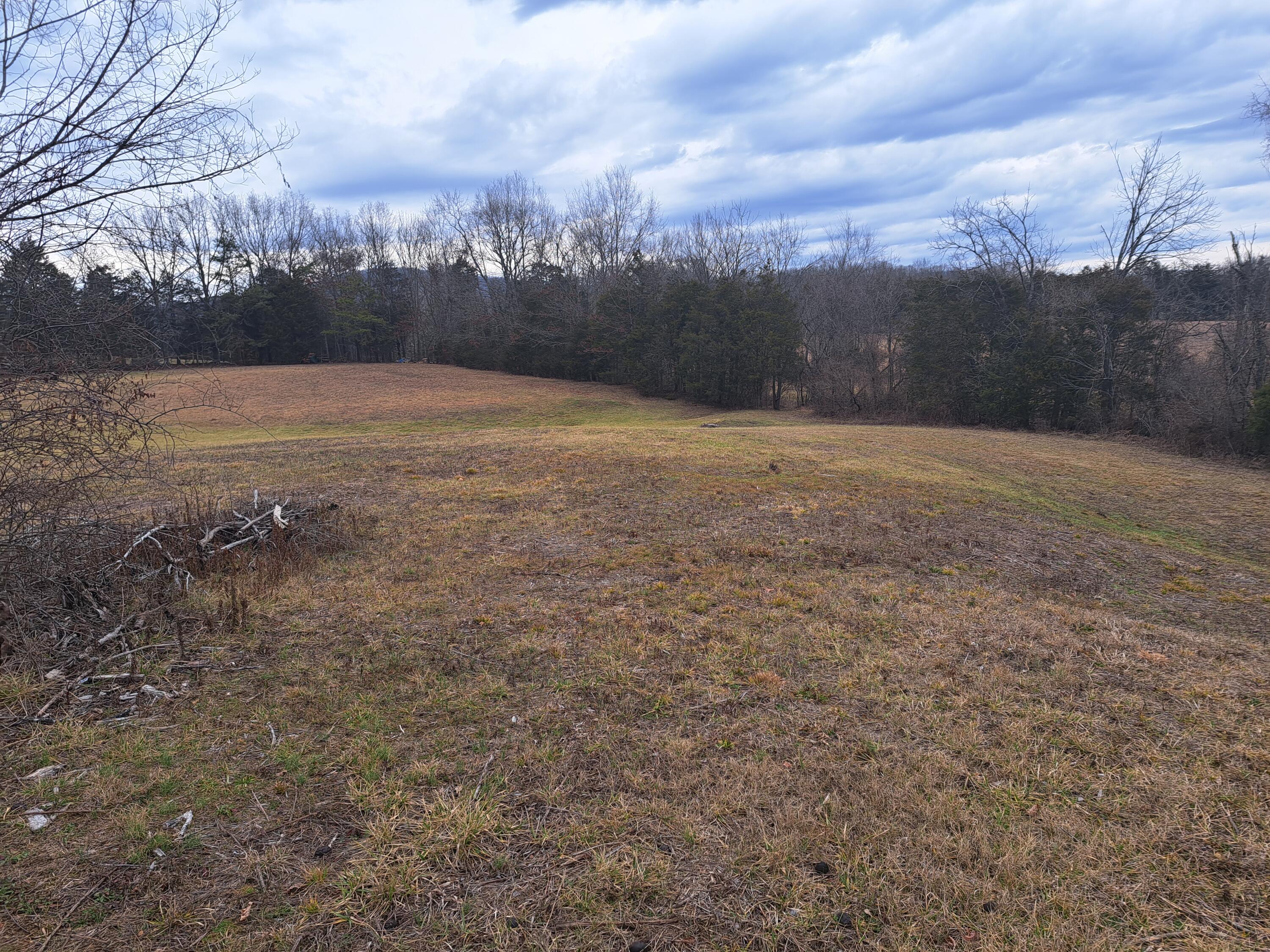 Tbd Old Baileyton Road, Greeneville, Tennessee image 9