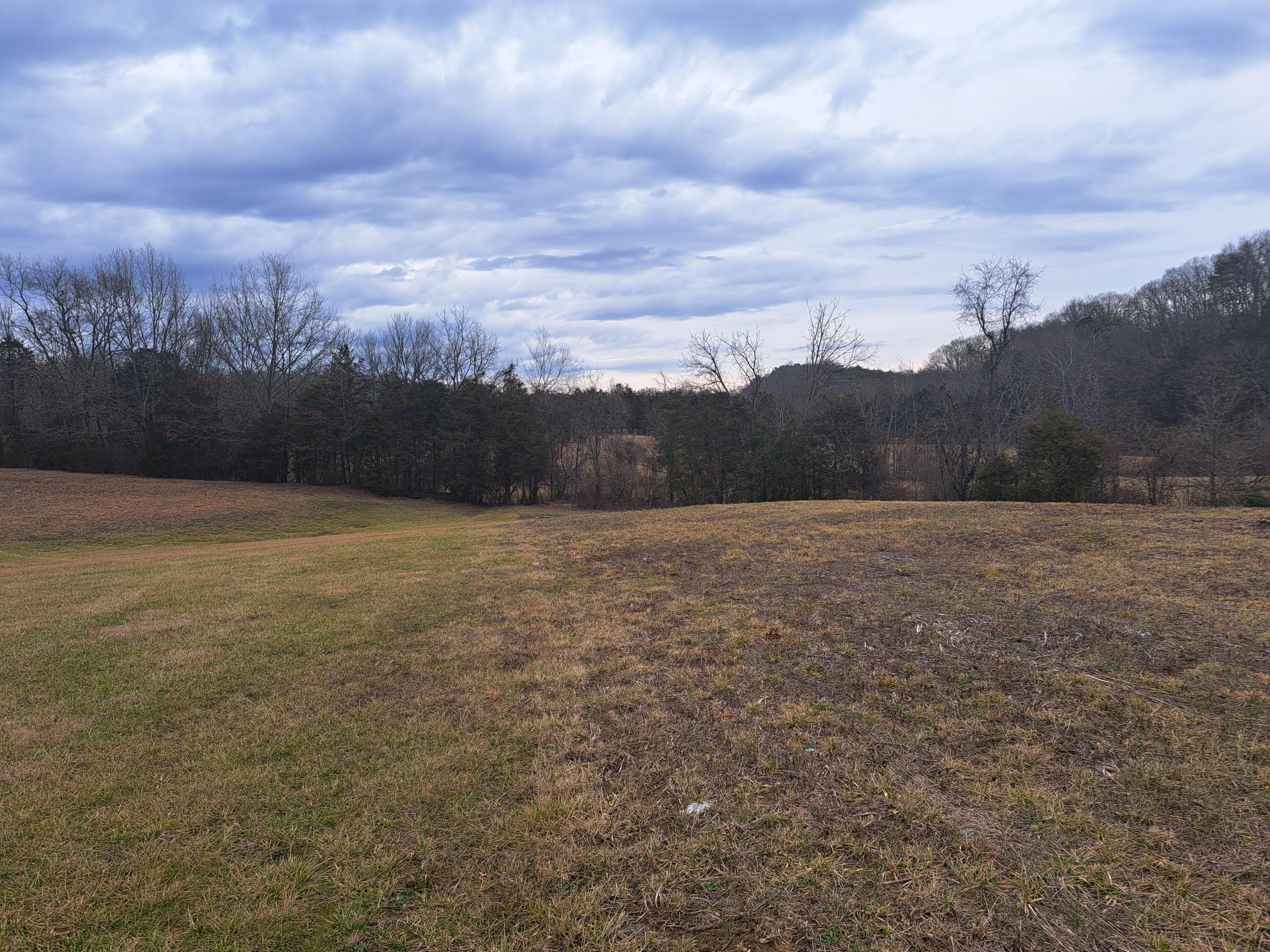 Tbd Old Baileyton Road, Greeneville, Tennessee image 11