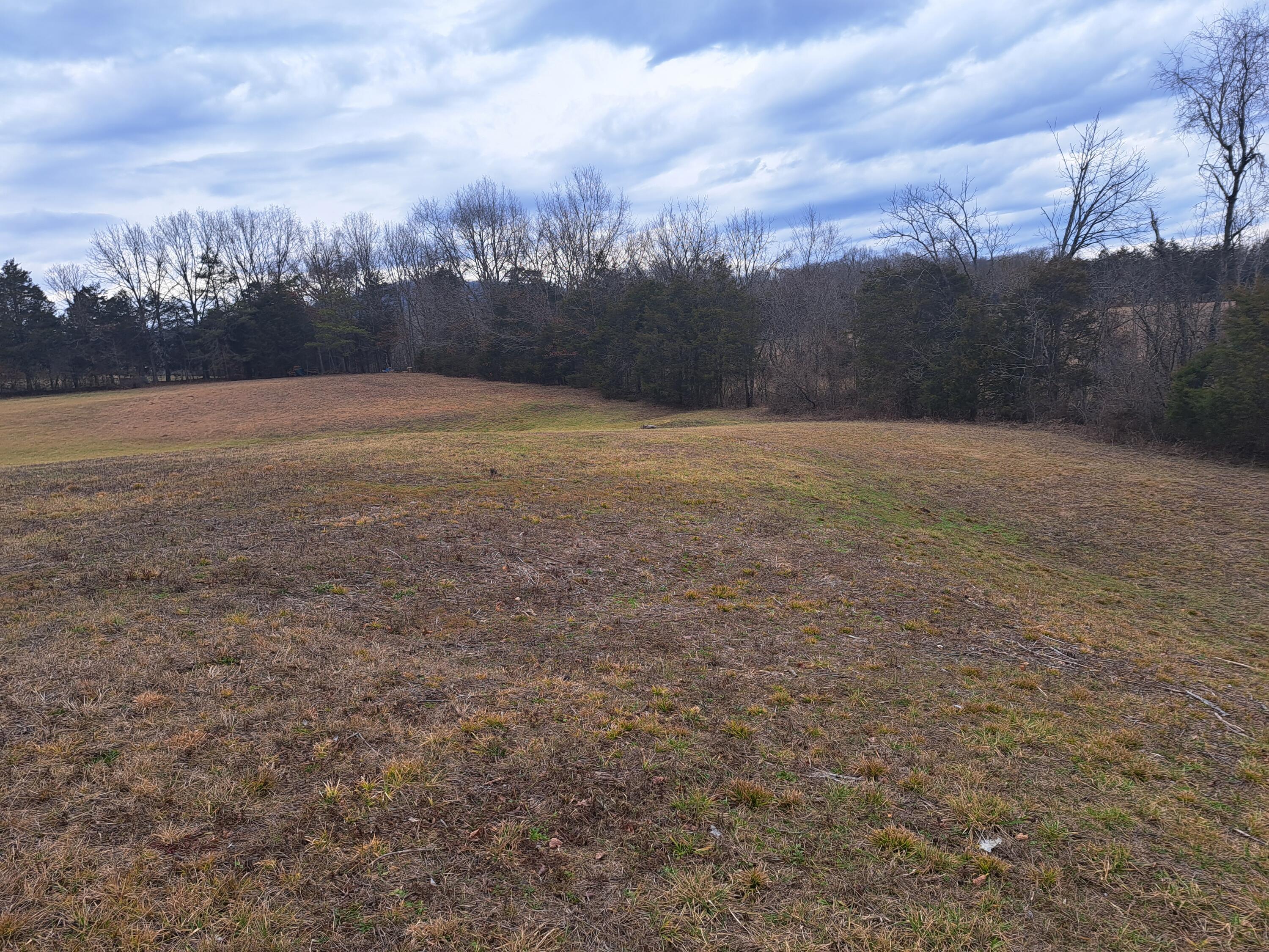 Tbd Old Baileyton Road, Greeneville, Tennessee image 8