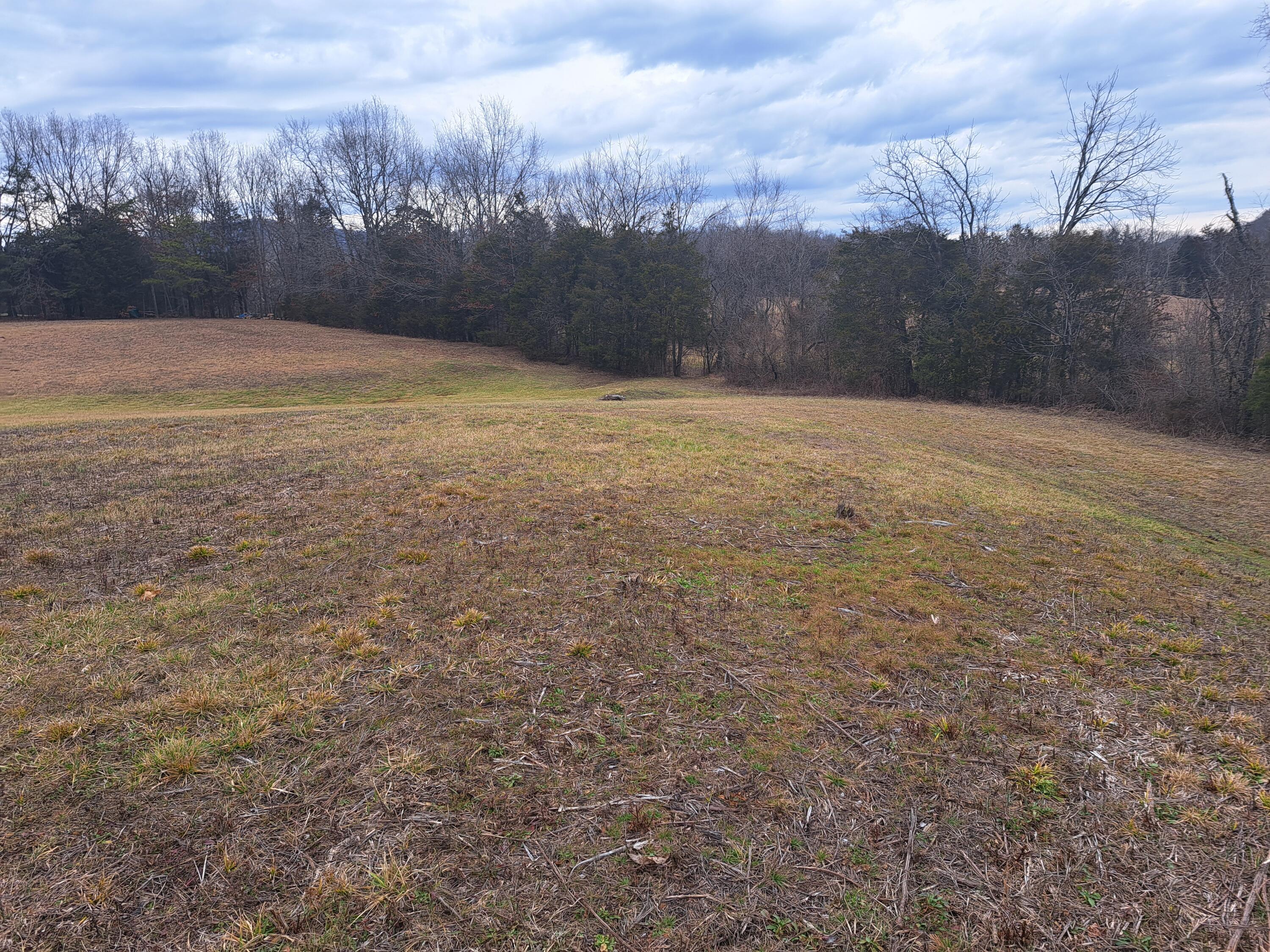 Tbd Old Baileyton Road, Greeneville, Tennessee image 1