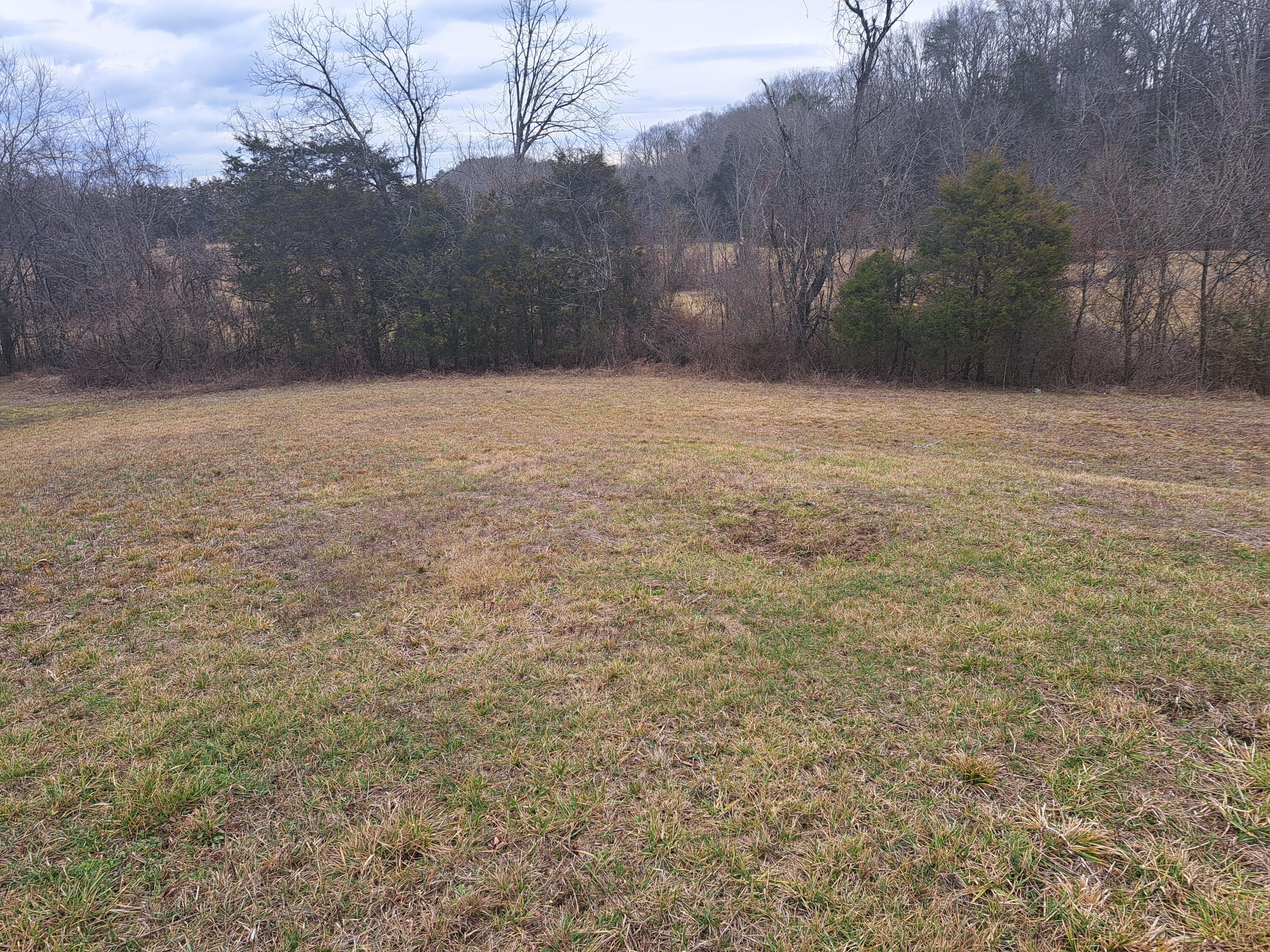 Tbd Old Baileyton Road, Greeneville, Tennessee image 3