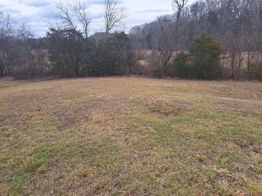 Photo of Tbd Old Baileyton Road, Greeneville, TN 37745 (MLS # 9947245)