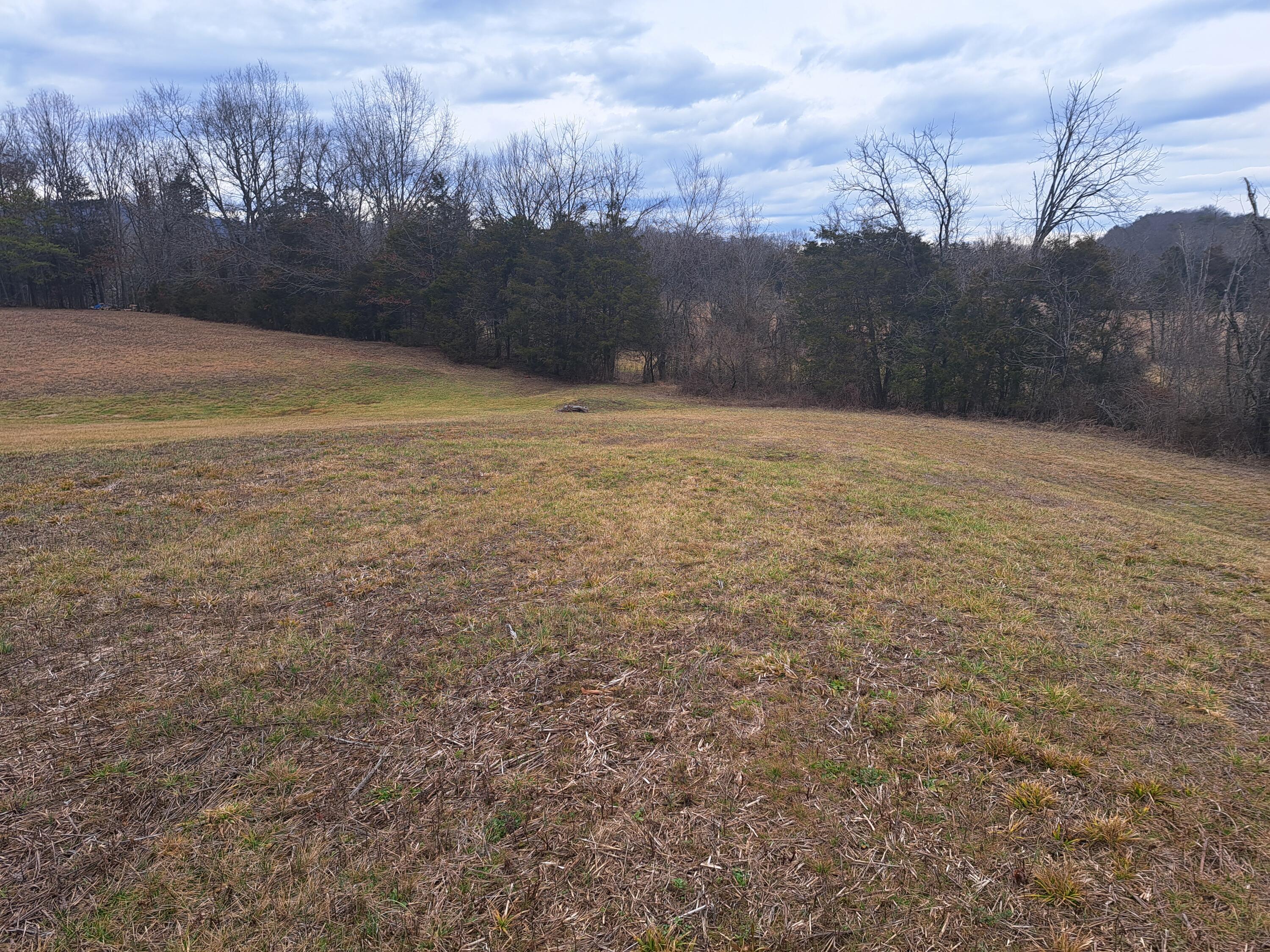 Tbd Old Baileyton Road, Greeneville, Tennessee image 5