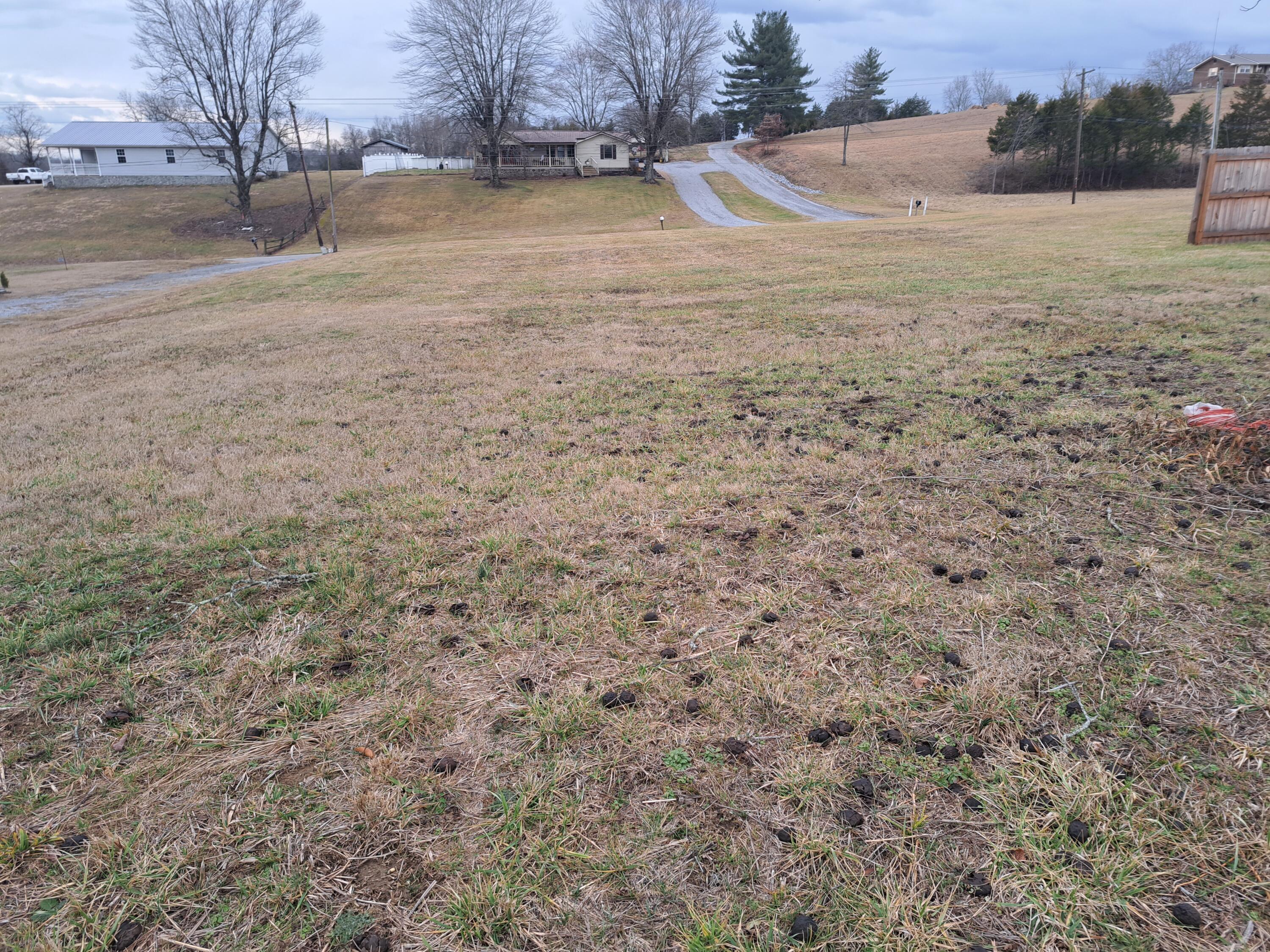 Tbd Old Baileyton Road, Greeneville, Tennessee image 13