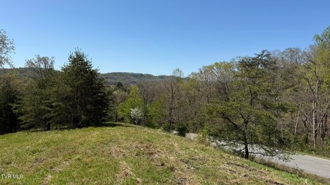 Vacant Land For Sale - LOT 52 Bayside Boulevard<br/> Bean Station, TN 37708