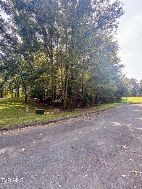 Vacant Land For Sale - Brooks Pointe Drive #LOT 59<br/> Rogersville, TN 37857