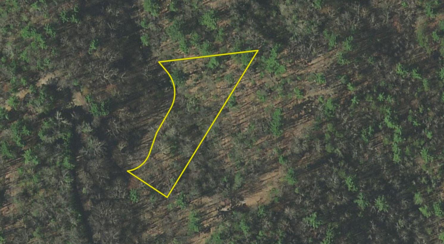 Lot 22 Horse Shoe Way, Del Rio, Tennessee image 1