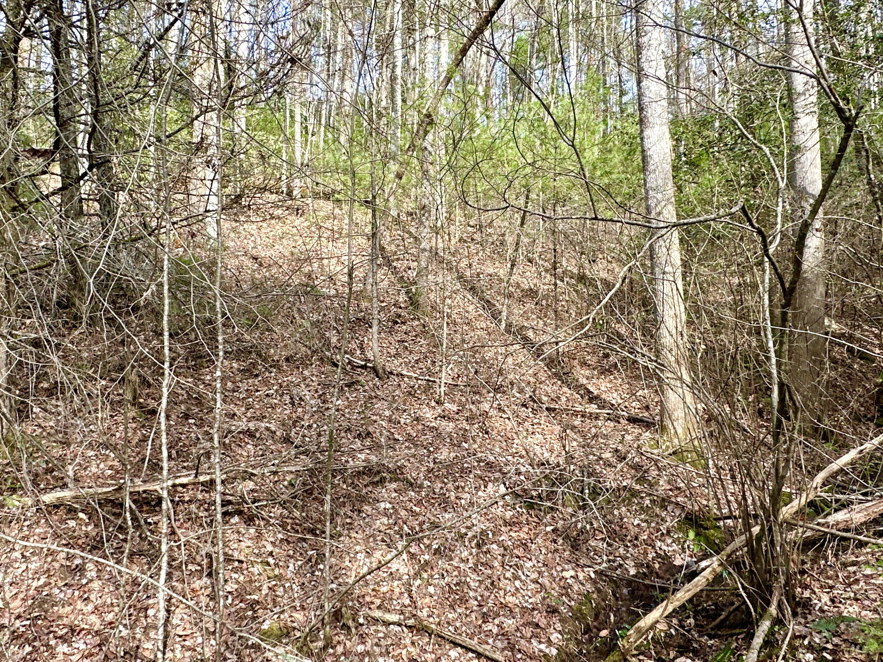Lot 22 Horse Shoe Way, Del Rio, Tennessee image 8