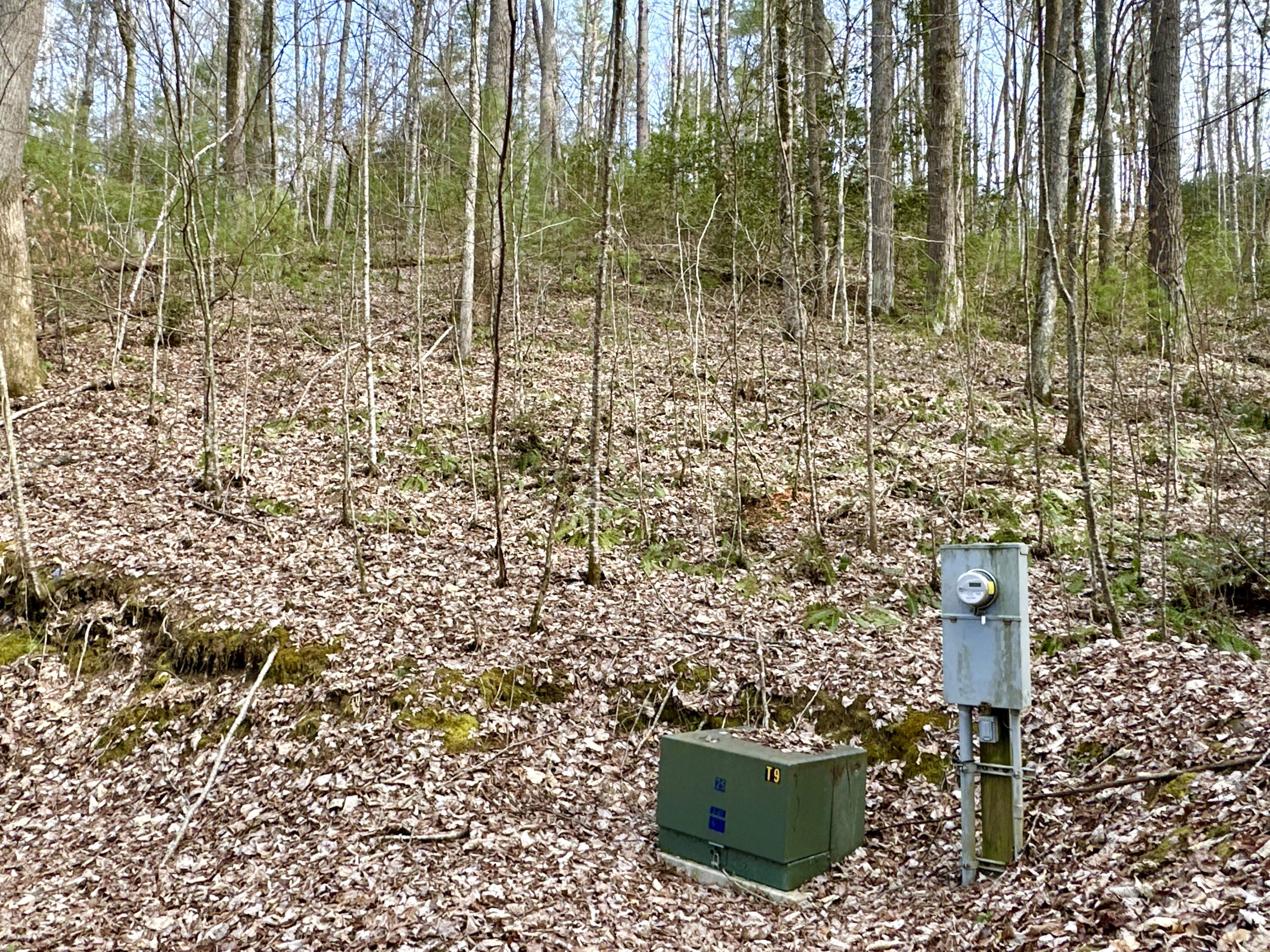 Lot 22 Horse Shoe Way, Del Rio, Tennessee image 2