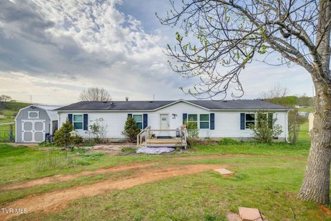 Photo of 475 Bill West Road, Limestone, TN 37681 (MLS # 9993365)