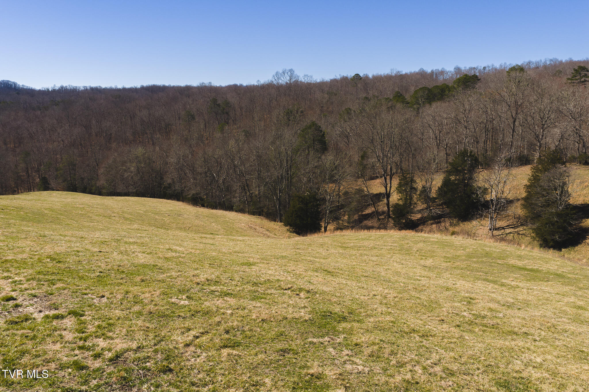100 Acres Sutton Hollow Road