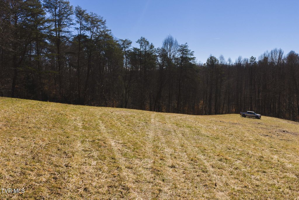 Photo of 100 Sutton Hollow Road, Sneedville, TN 37869 (MLS # 9993101)