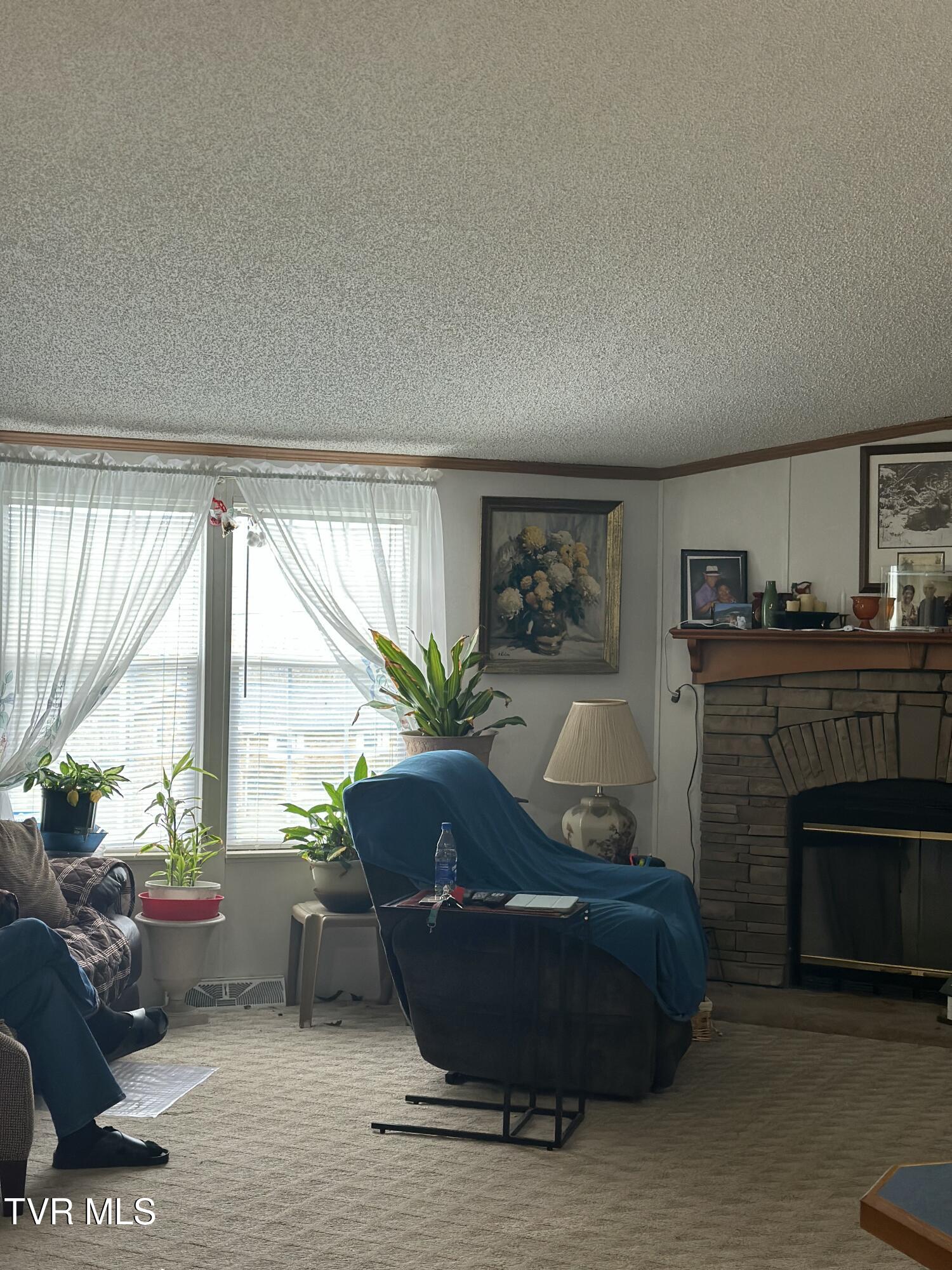 674 Ridge Drive, Piney Flats, Tennessee image 13