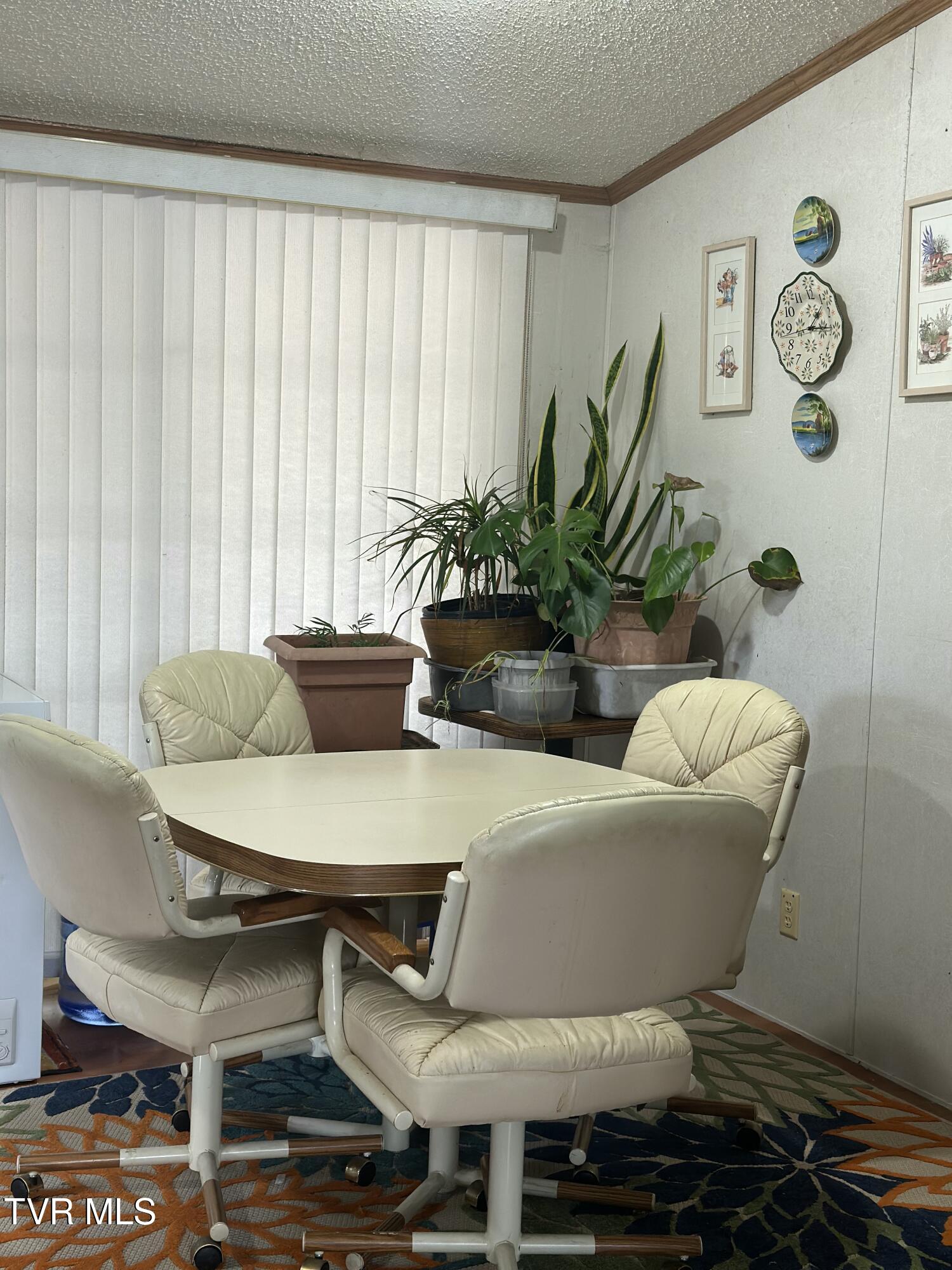 674 Ridge Drive, Piney Flats, Tennessee image 42