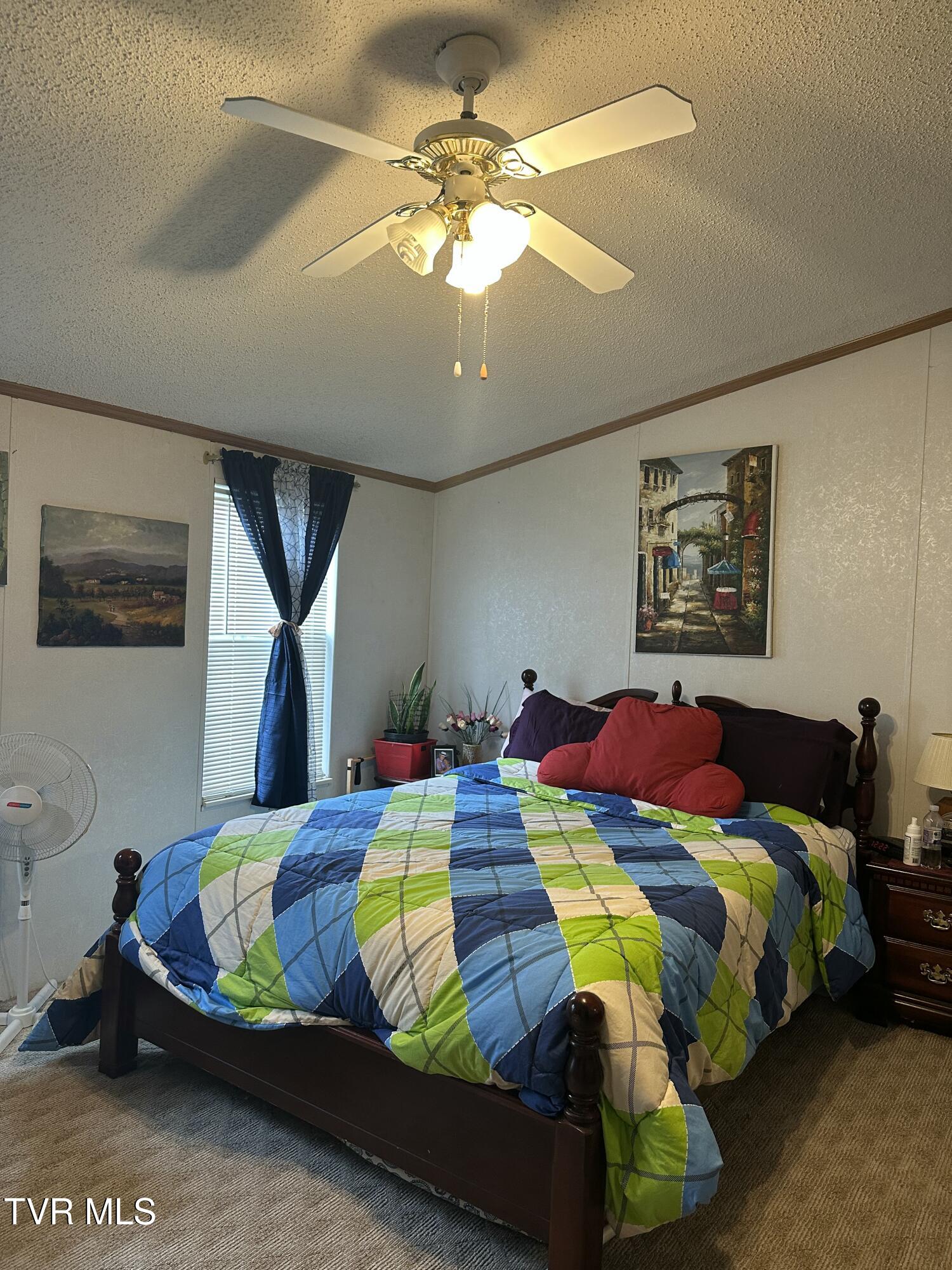 674 Ridge Drive, Piney Flats, Tennessee image 18