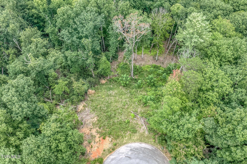 Photo of 129 Mountain Laurel Court, Unicoi, TN 37692 (MLS # 9999031)