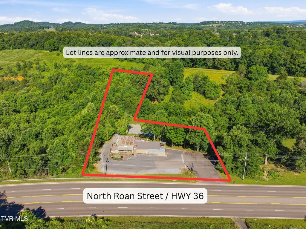 Photo of 4903 Roan Street, Johnson City, TN 37615 (MLS # 9996714)