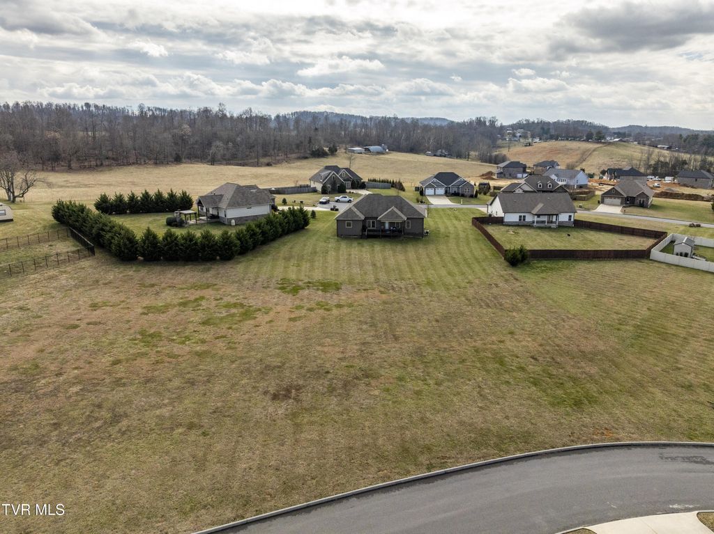 Photo of 636 Brady Way, Jonesborough, TN 37659 (MLS # 9990579)