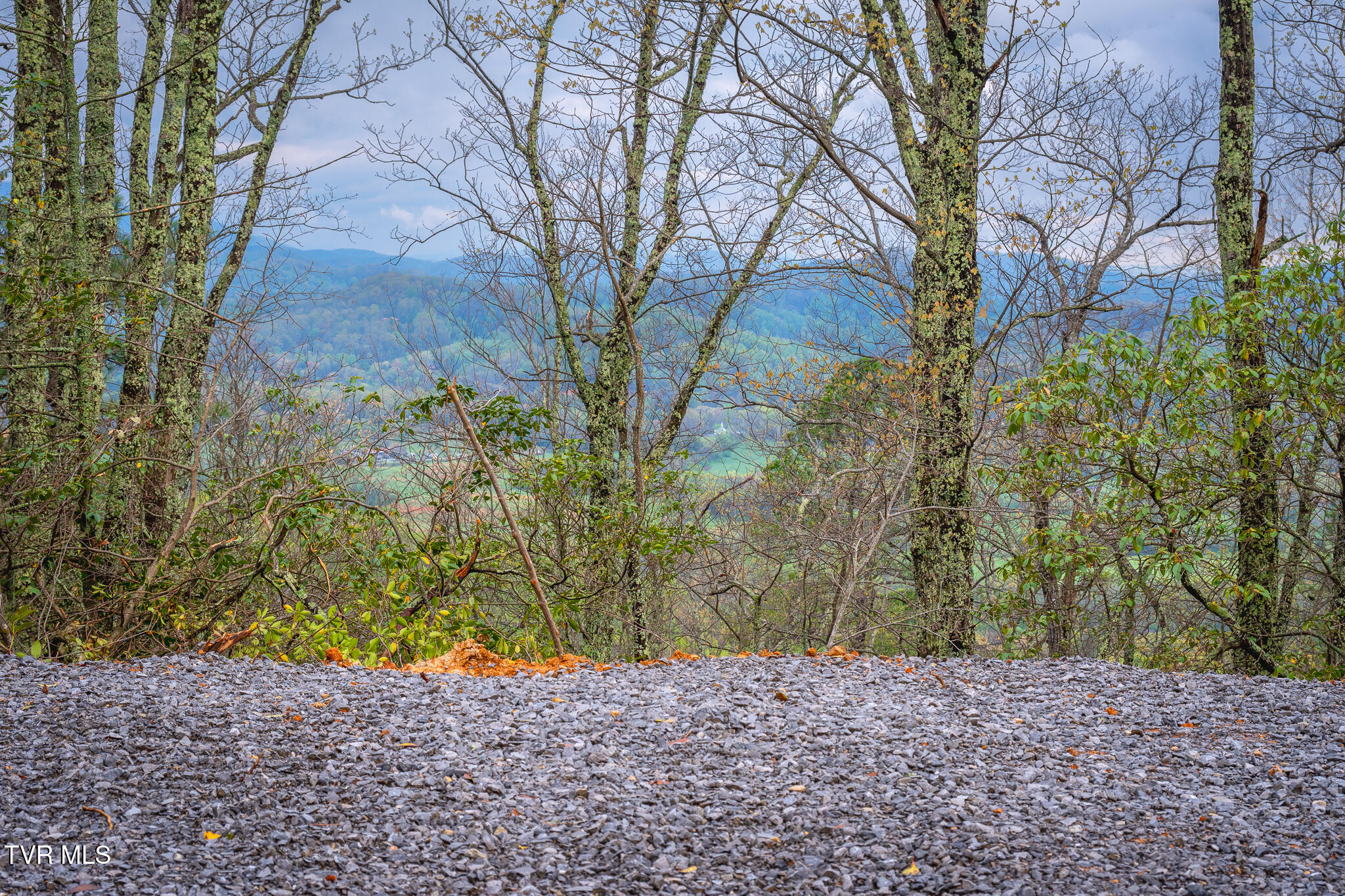3.93 Acres Green Forest Road, Cosby, Tennessee image 22