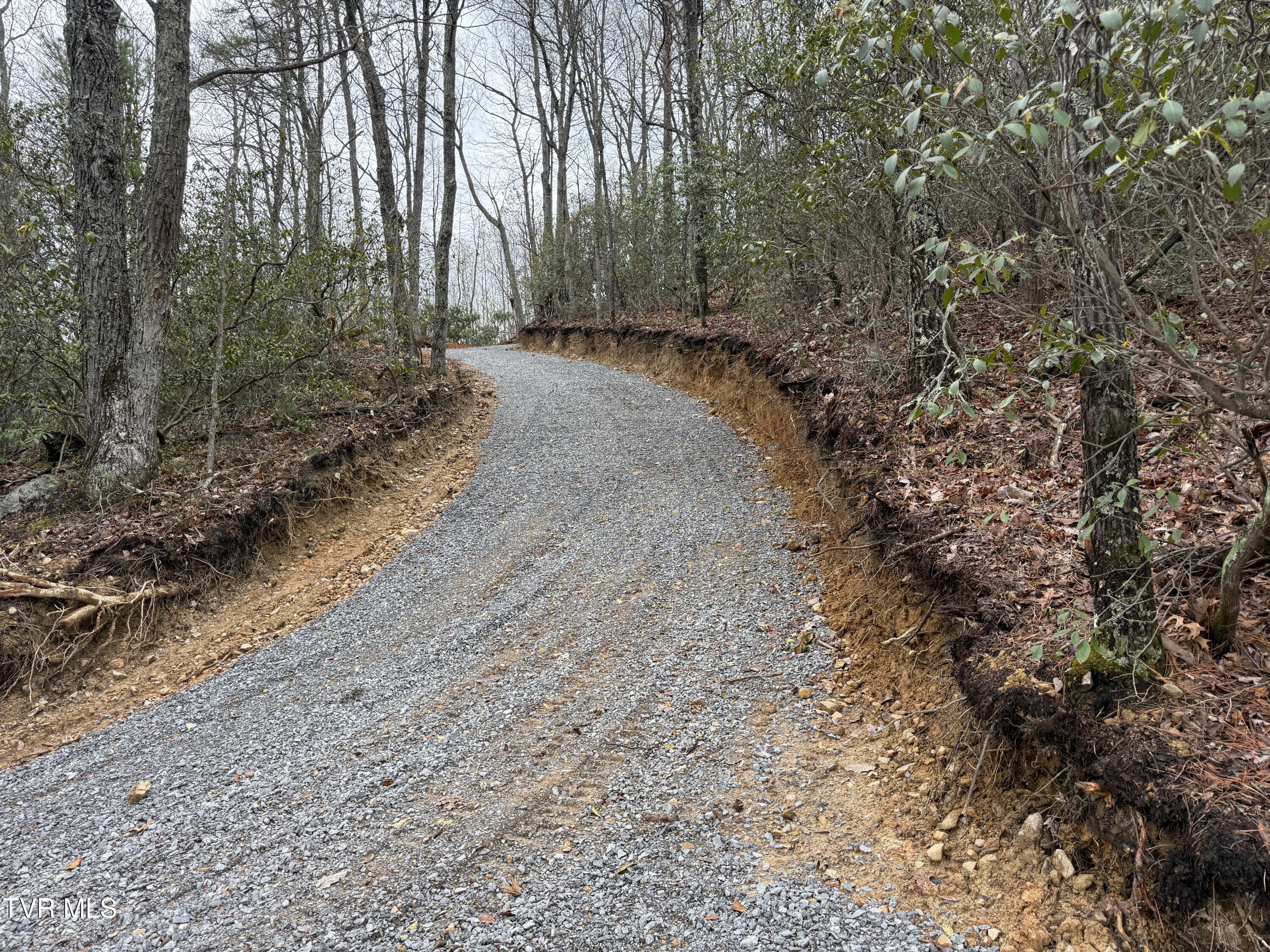 3.93 Acres Green Forest Road, Cosby, Tennessee image 14